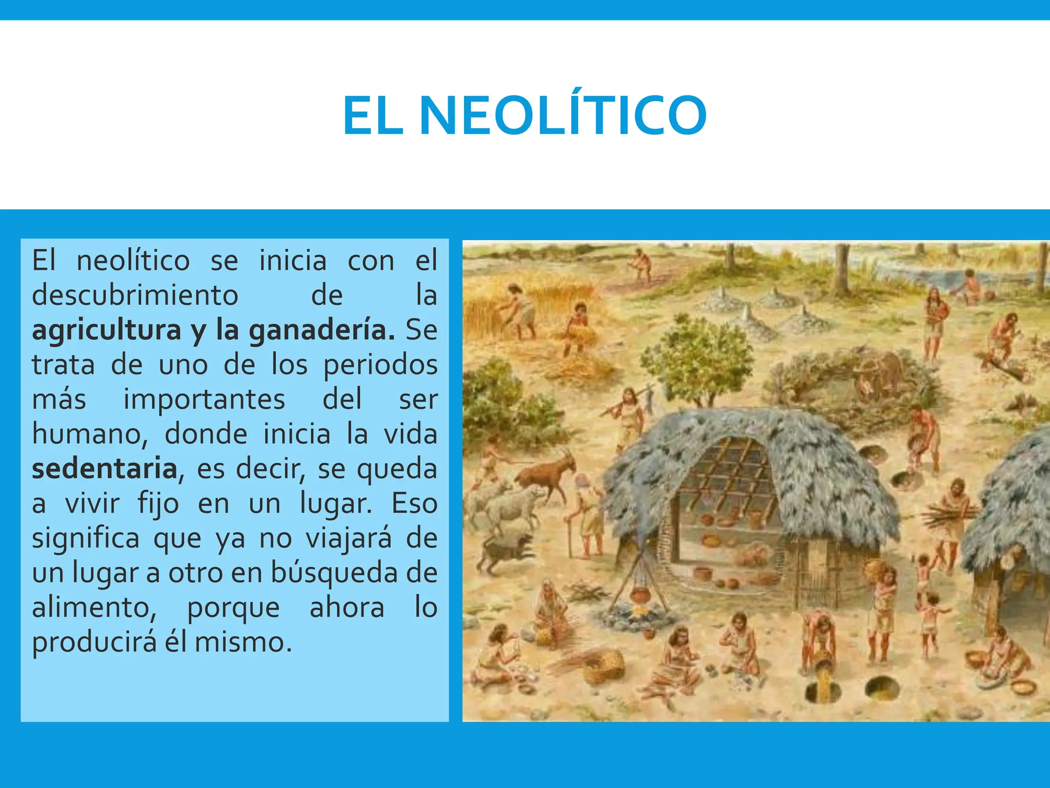 EL NEOLÍTICO
El neolítico se inicia con el
descubrimiento de la
agricultura y la ganadería. Se
trata de uno de los periodos
más importantes del ser
humano, donde inicia la vida
sedentaria, es decir, se queda
a vivir fijo en un lugar. Eso
significa que ya no viajará de
un lugar a otro en búsqueda de
alimento, porque ahora lo
producirá él mismo.
 