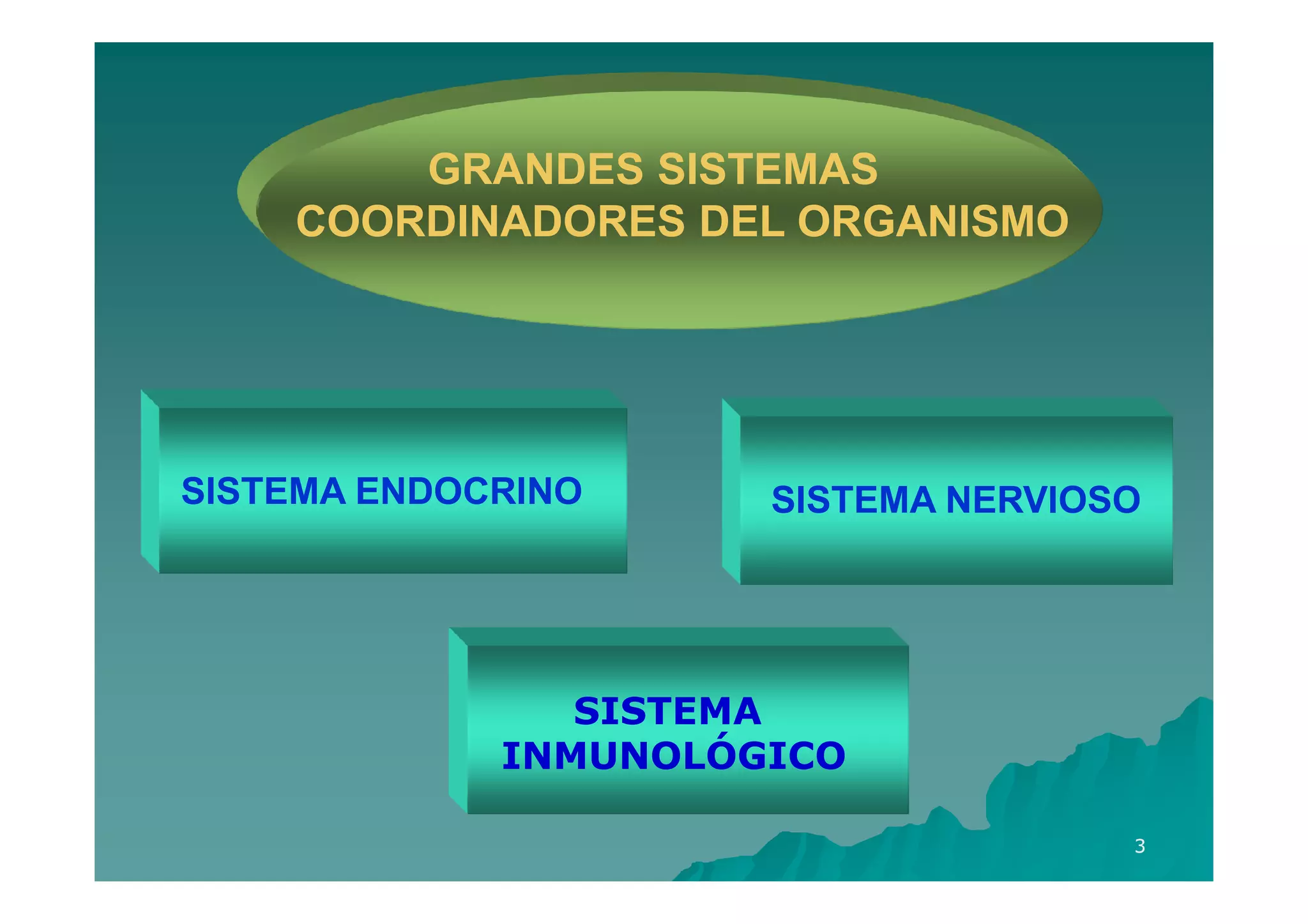 GRANDES SISTEMAS
    COORDINADORES DEL ORGANISMO




SISTEMA ENDOCRINO     SISTEMA NERVIOSO




                SISTEMA
             INMUNOLÓGICO

                                     3
 