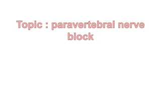 Paravertebral nerve block in animals