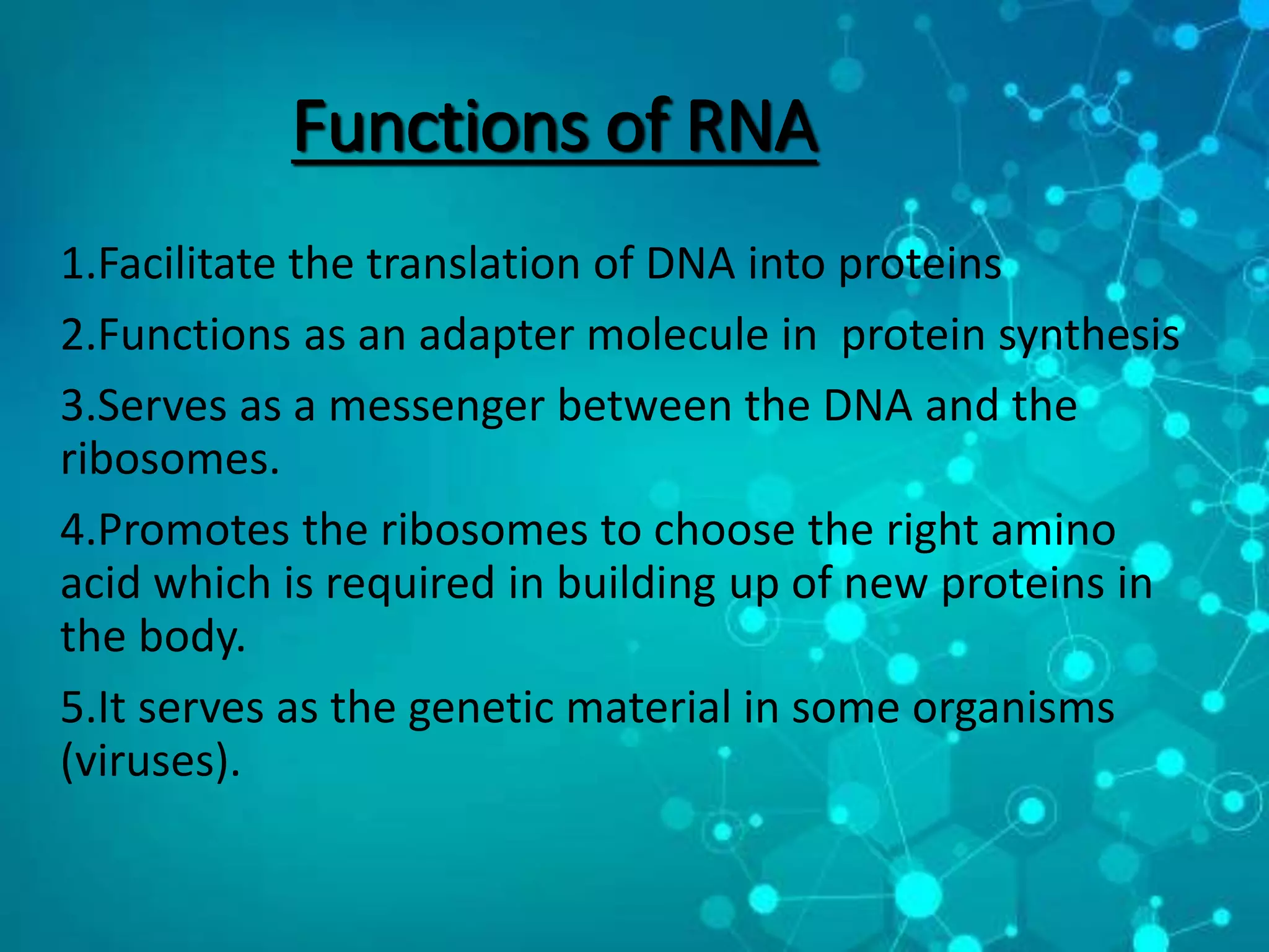Functions of RNA
1.Facilitate the translation of DNA into proteins
2.Functions as an adapter molecule in protein synthesis
3.Serves as a messenger between the DNA and the
ribosomes.
4.Promotes the ribosomes to choose the right amino
acid which is required in building up of new proteins in
the body.
5.It serves as the genetic material in some organisms
(viruses).
 