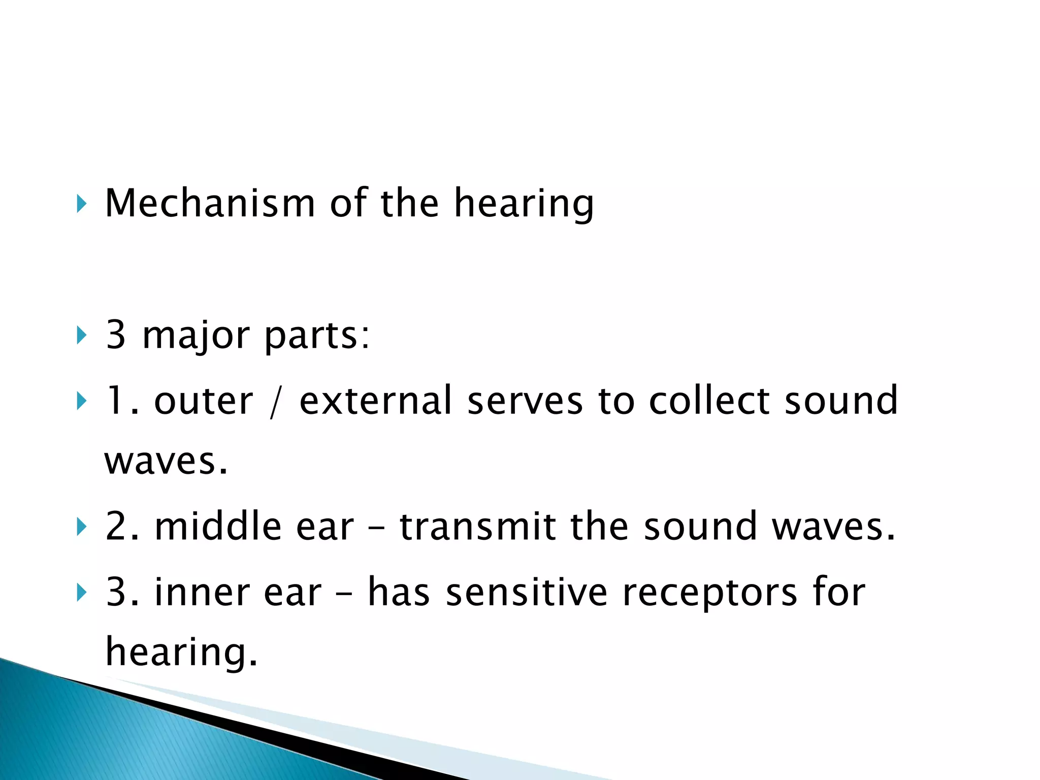 Mechanism of the hearing 3 major parts: 1. outer / external serves to collect sound waves. 2. middle ear – transmit the sound waves. 3. inner ear – has sensitive receptors for hearing. 