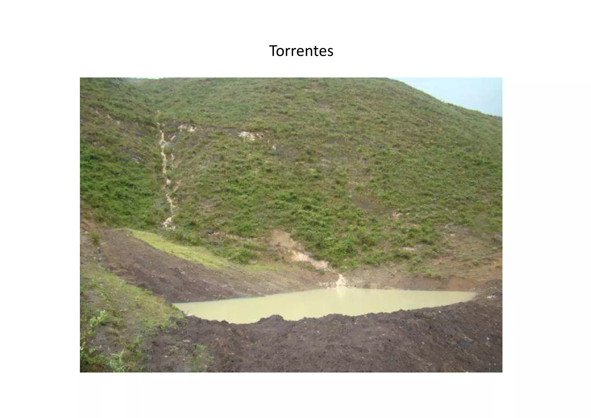 Torrentes
 
