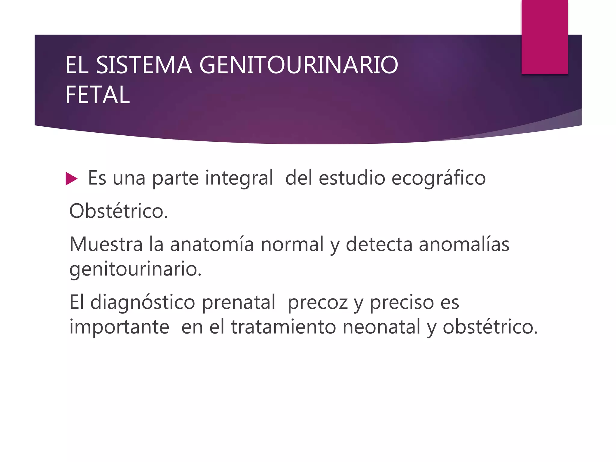EL SISTEMA GENITOURINARIO
FETAL
 Es una parte integral del estudio ecográfico
Obstétrico.
Muestra la anatomía normal y detecta anomalías
genitourinario.
El diagnóstico prenatal precoz y preciso es
importante en el tratamiento neonatal y obstétrico.
 