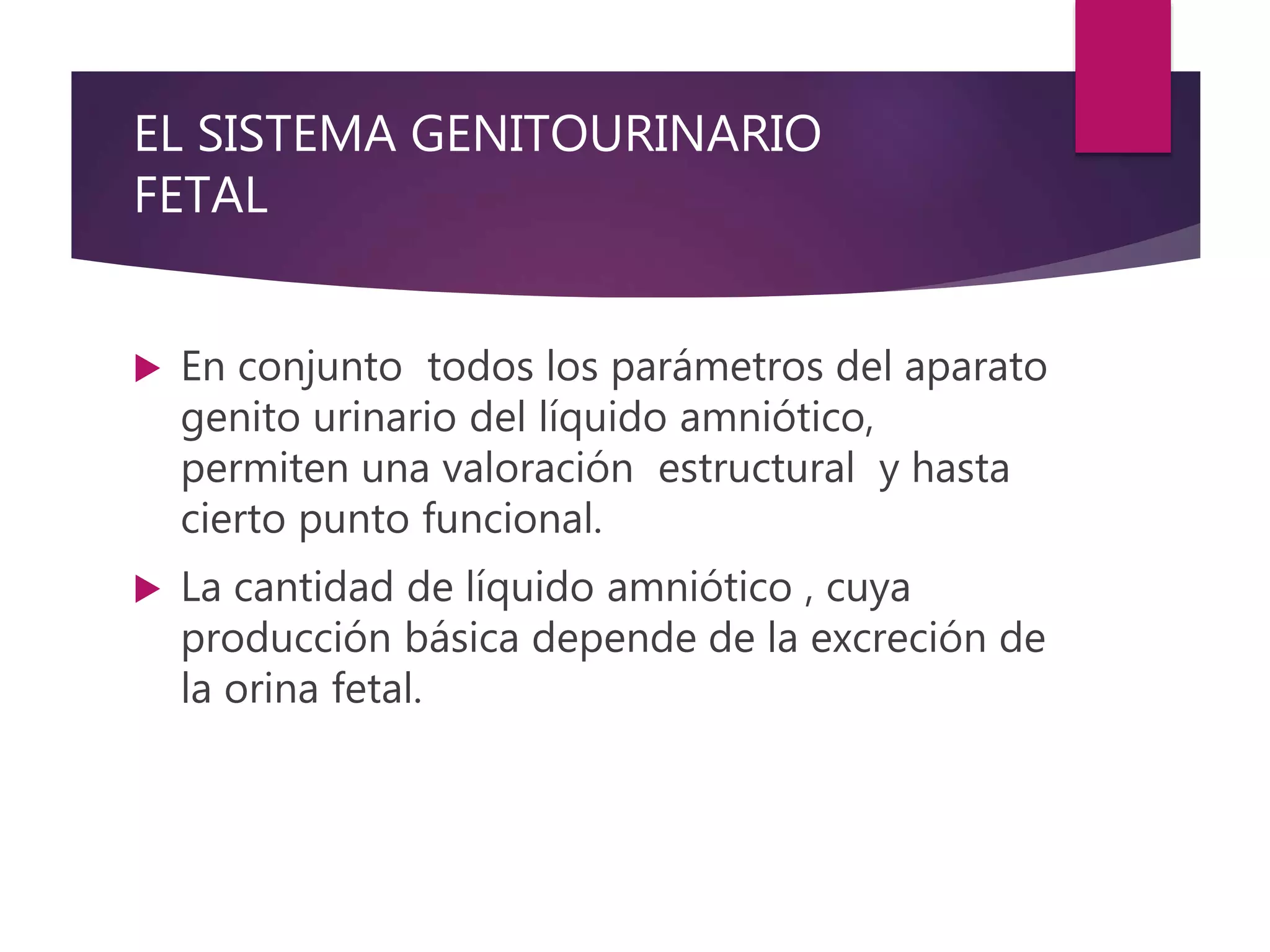 EL SISTEMA GENITOURINARIO
FETAL
 En conjunto todos los parámetros del aparato
genito urinario del líquido amniótico,
permiten una valoración estructural y hasta
cierto punto funcional.
 La cantidad de líquido amniótico , cuya
producción básica depende de la excreción de
la orina fetal.
 