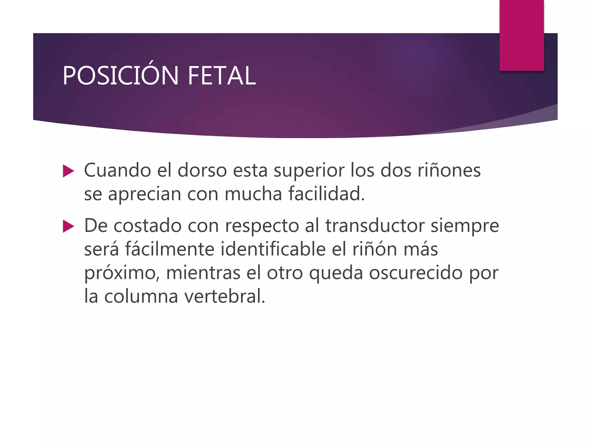 POSICIÓN FETAL
 Cuando el dorso esta superior los dos riñones
se aprecian con mucha facilidad.
 De costado con respecto al transductor siempre
será fácilmente identificable el riñón más
próximo, mientras el otro queda oscurecido por
la columna vertebral.
 