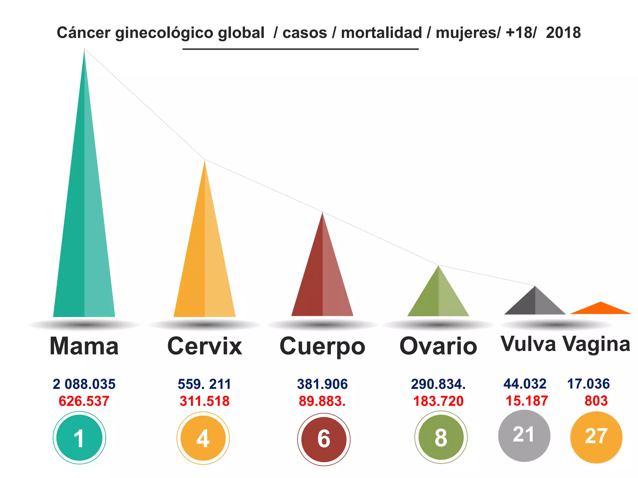 2 088.035
626.537
559. 211
311.518
381.906
89.883.
290.834.
183.720
44.032 17.036
15.187 803
Mama Cervix Cuerpo Ovario Vulva Vagina
Cáncer ginecológico global / casos / mortalidad / mujeres/ +18/ 2018
1 4 6 8 21 27
 
