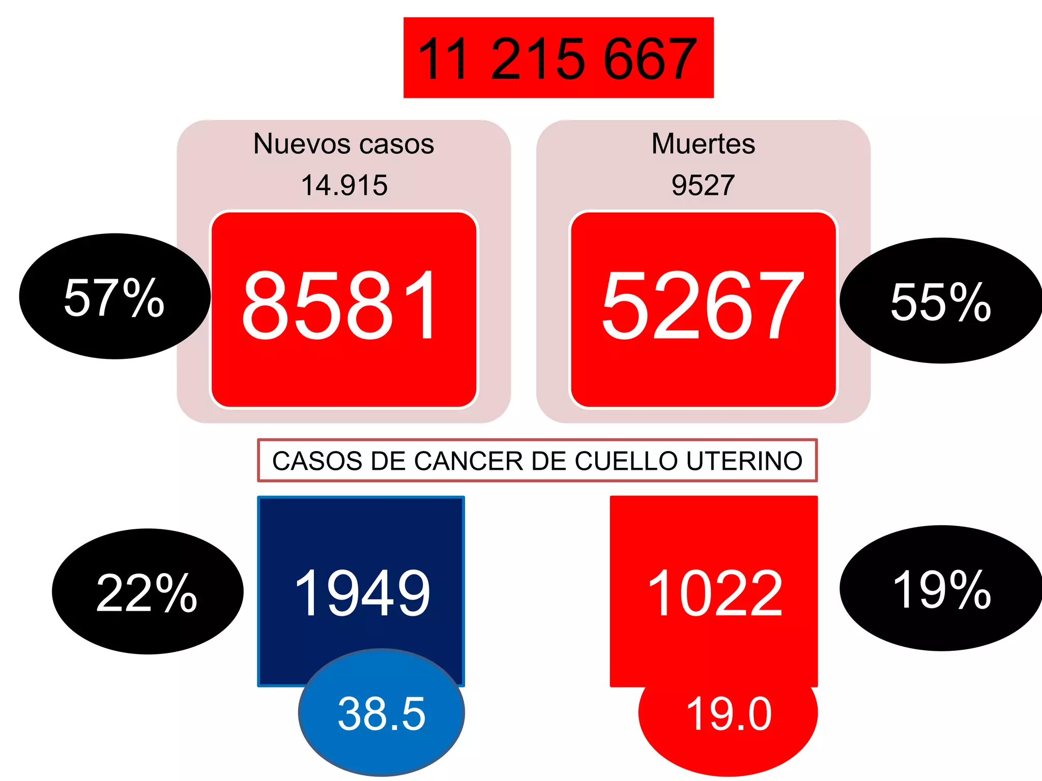 11 215 667
Nuevos casos
14.915
8581
Muertes
9527
5267
1949 1022
57% 55%
22% 19%
CASOS DE CANCER DE CUELLO UTERINO
38.5 19.0
 