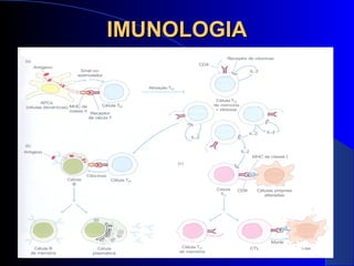 IMUNOLOGIAIMUNOLOGIA
 