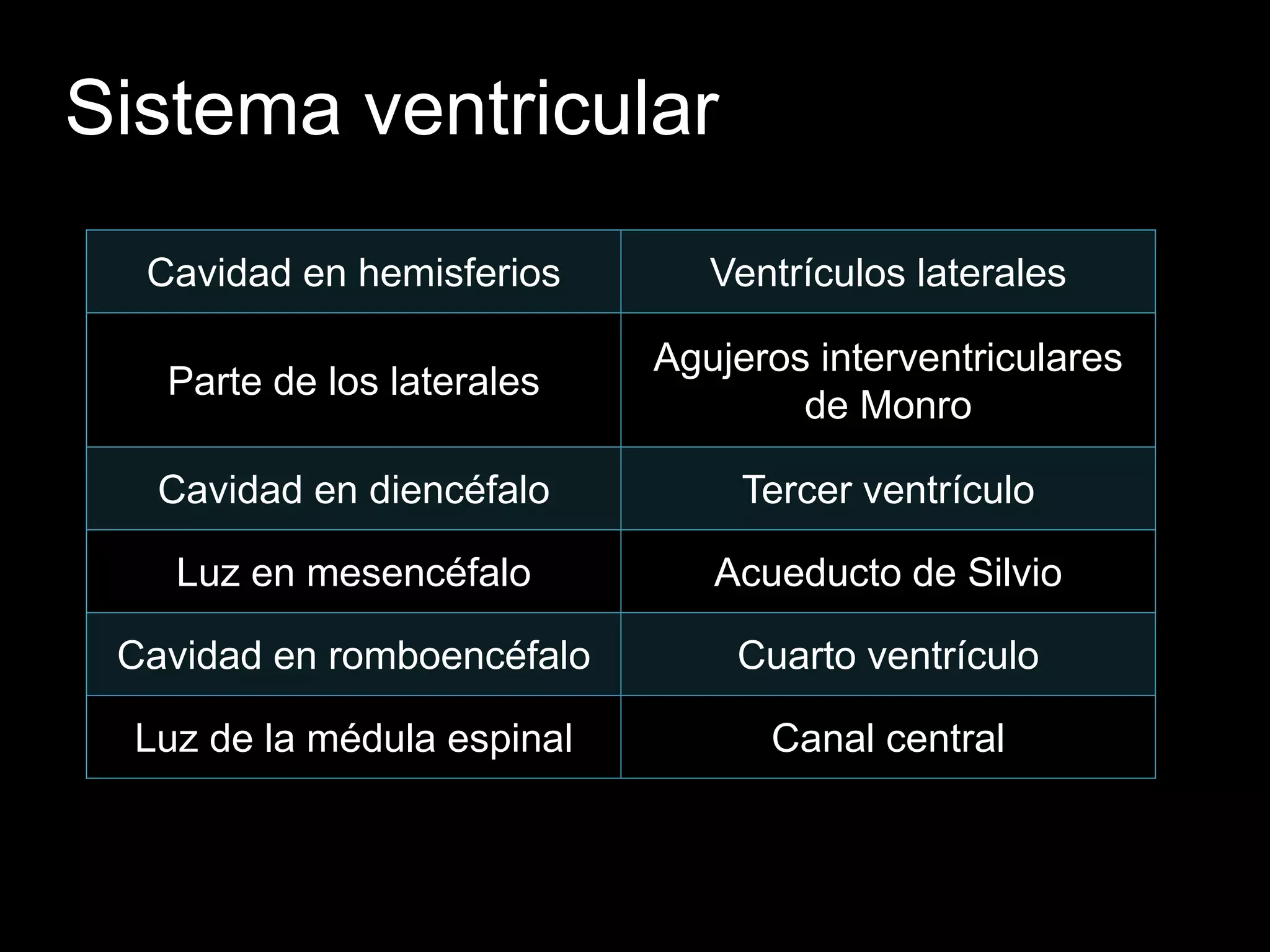 Sistema ventricular
Cavidad en hemisferios Ventrículos laterales
Parte de los laterales
Agujeros interventriculares
de Monro
Cavidad en diencéfalo Tercer ventrículo
Luz en mesencéfalo Acueducto de Silvio
Cavidad en romboencéfalo Cuarto ventrículo
Luz de la médula espinal Canal central
 
