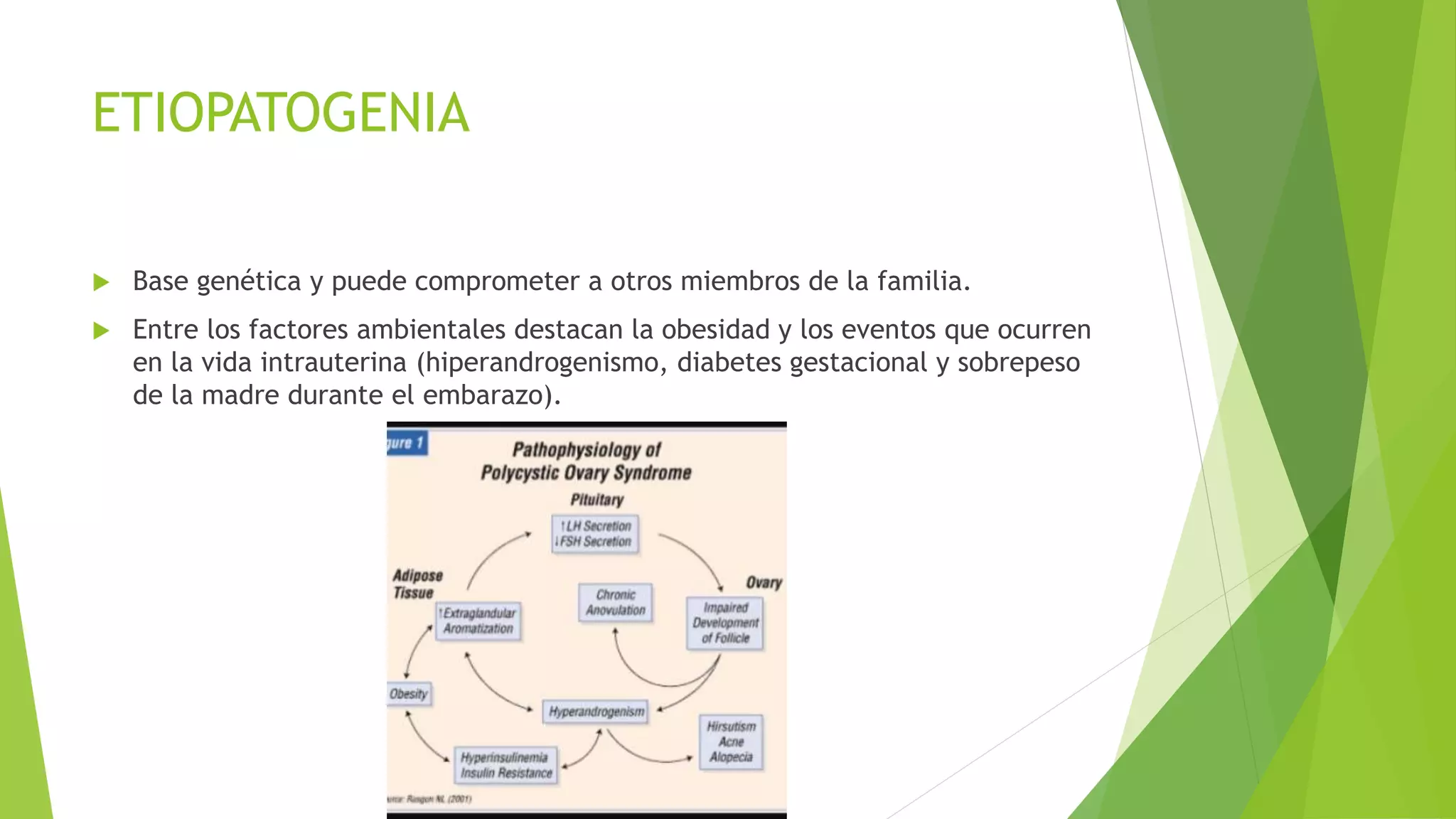 ETIOPATOGENIA 
 Base genética y puede comprometer a otros miembros de la familia. 
 Entre los factores ambientales destacan la obesidad y los eventos que ocurren 
en la vida intrauterina (hiperandrogenismo, diabetes gestacional y sobrepeso 
de la madre durante el embarazo). 
 