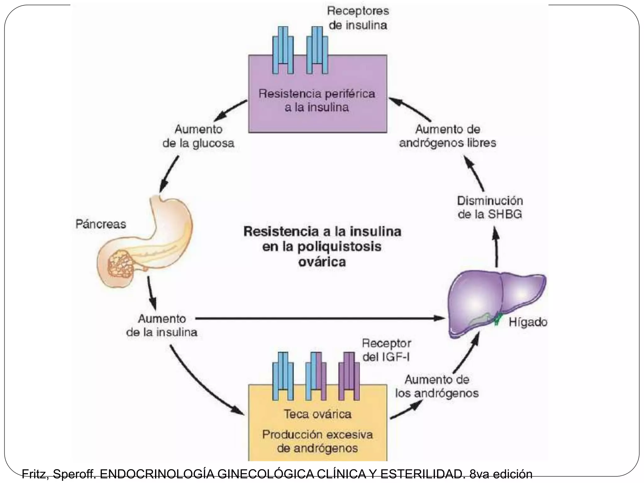 Fritz, Speroff. ENDOCRINOLOGÍA GINECOLÓGICA CLÍNICA Y ESTERILIDAD. 8va edición
 