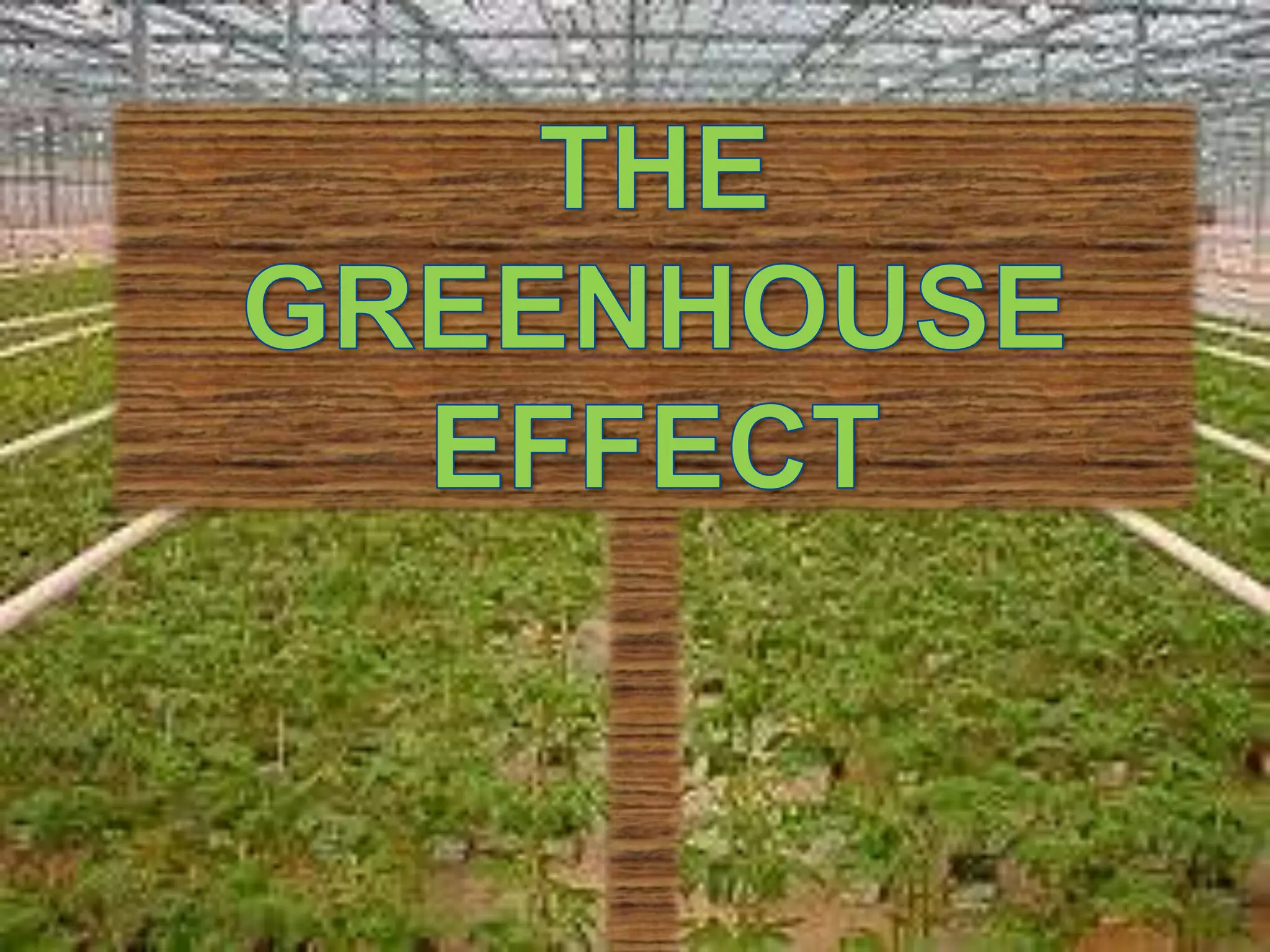 THE GREENHOUSE EFFECT