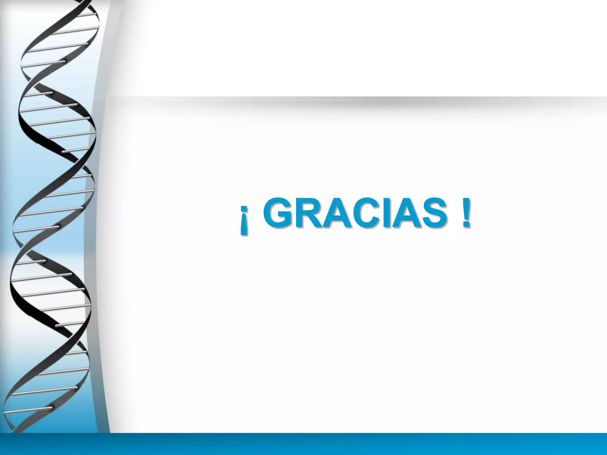 ¡ GRACIAS !
 