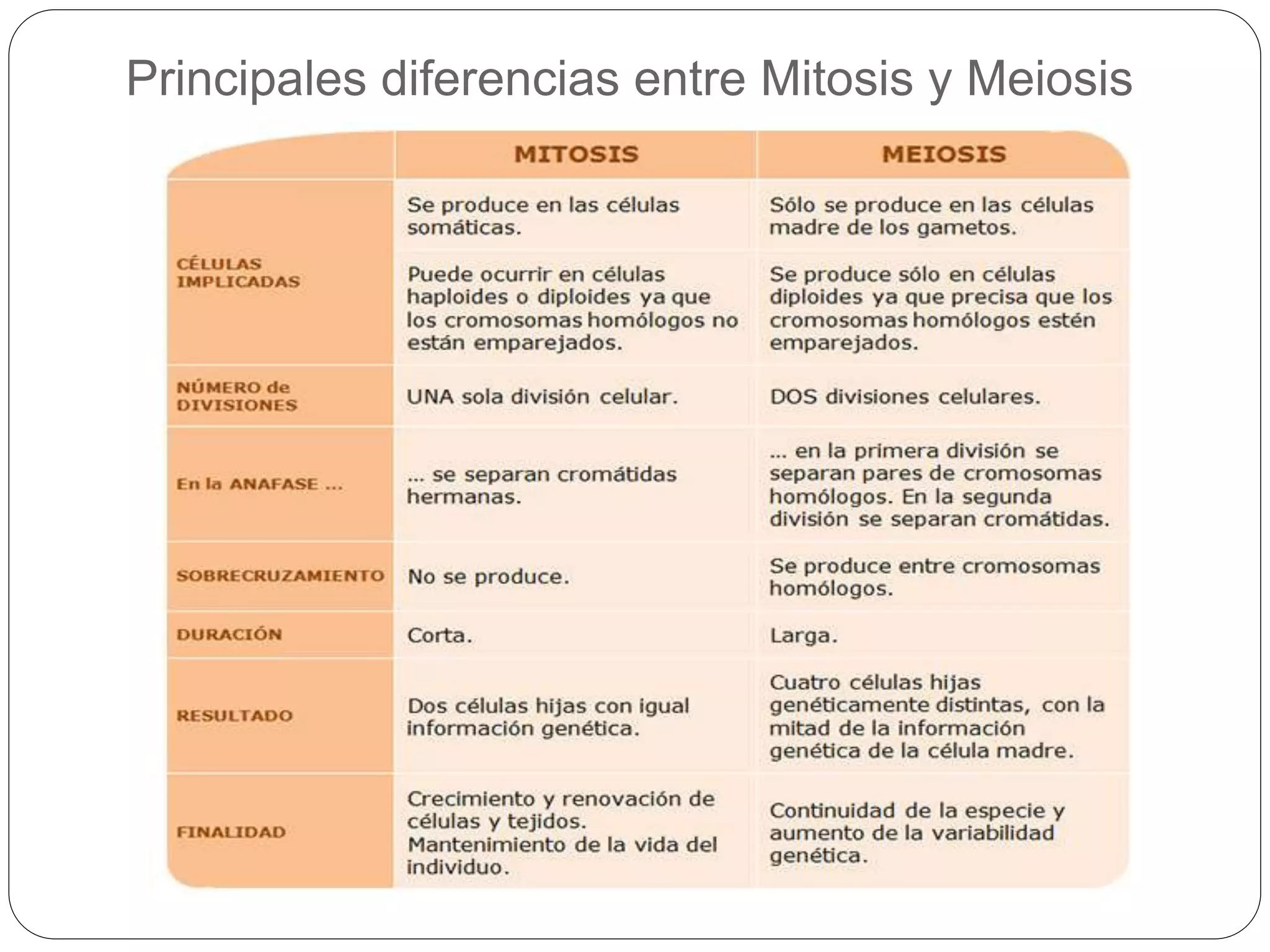 Principales diferencias entre Mitosis y Meiosis
 