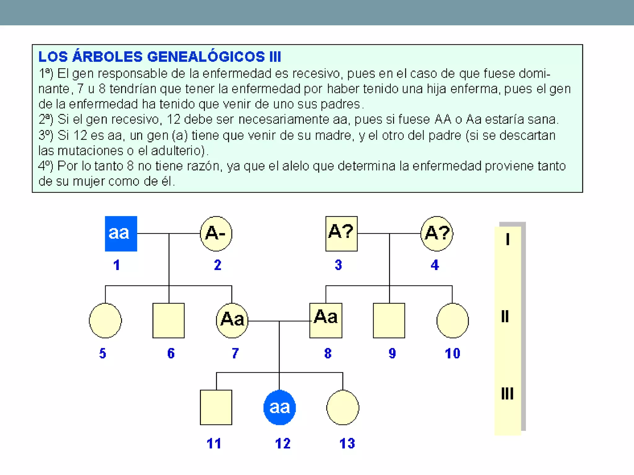 Tema3 las leyes de la herencia