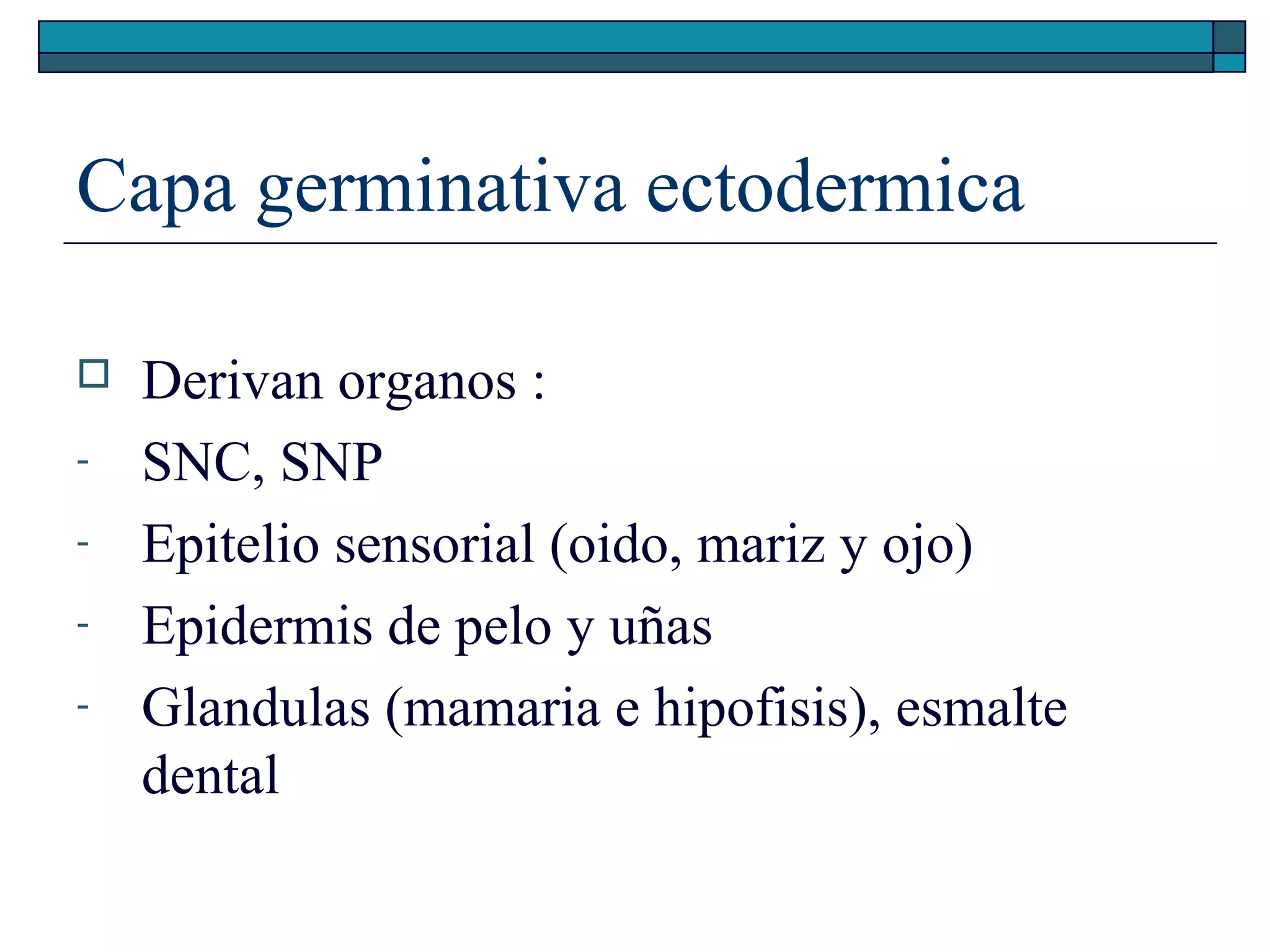 Capa germinativa ectodermica

-

Derivan organos :
SNC, SNP
Epitelio sensorial (oido, mariz y ojo)
Epidermis de pelo y uñas
Glandulas (mamaria e hipofisis), esmalte
dental

 
