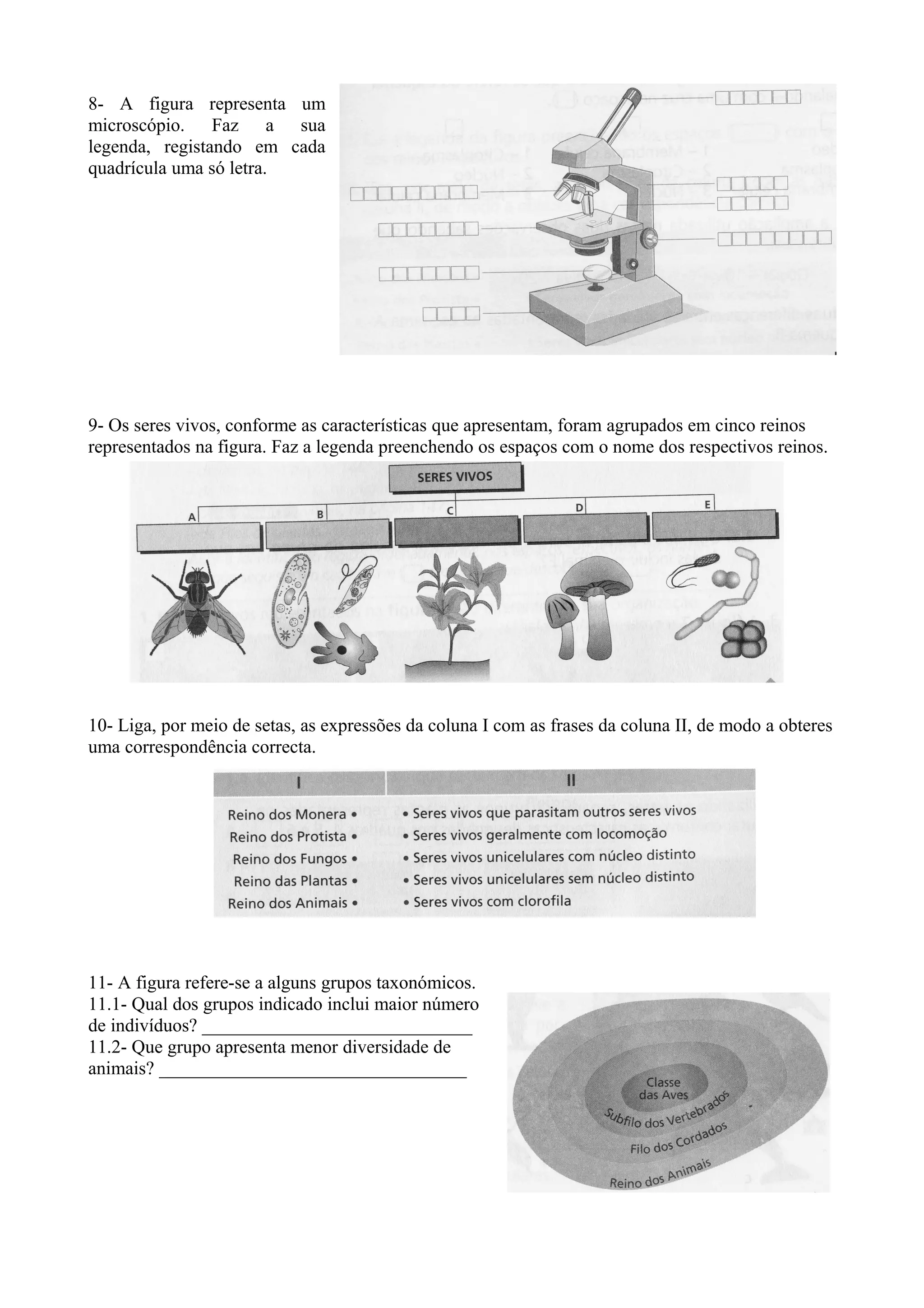 8- A figura representa um
microscópio. Faz a sua
legenda, registando em cada
quadrícula uma só letra.
9- Os seres vivos, conforme as características que apresentam, foram agrupados em cinco reinos
representados na figura. Faz a legenda preenchendo os espaços com o nome dos respectivos reinos.
10- Liga, por meio de setas, as expressões da coluna I com as frases da coluna II, de modo a obteres
uma correspondência correcta.
11- A figura refere-se a alguns grupos taxonómicos.
11.1- Qual dos grupos indicado inclui maior número
de indivíduos? _____________________________
11.2- Que grupo apresenta menor diversidade de
animais? _________________________________
 