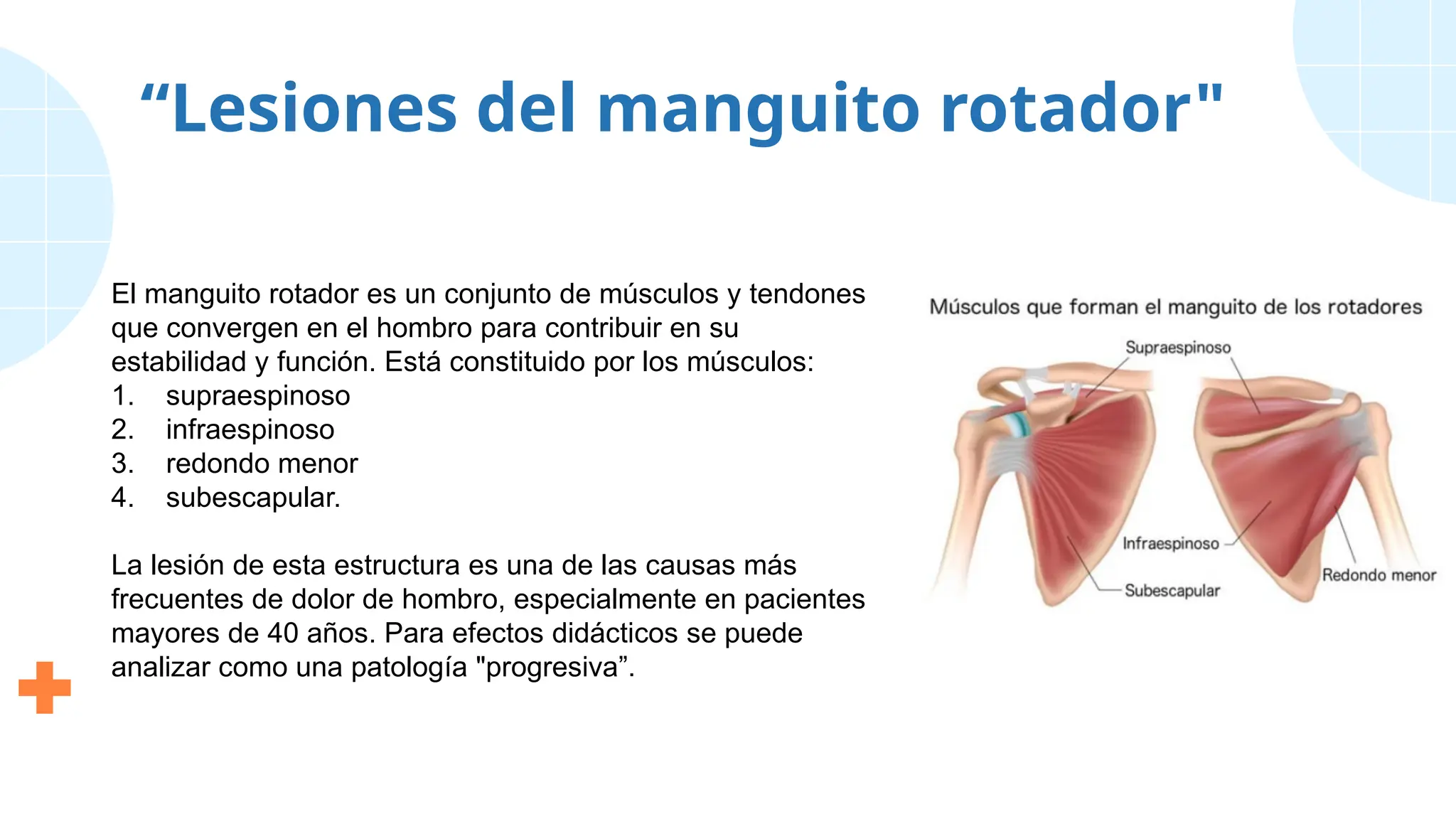 “Lesiones del manguito rotador"
El manguito rotador es un conjunto de músculos y tendones
que convergen en el hombro para contribuir en su
estabilidad y función. Está constituido por los músculos:
1. supraespinoso
2. infraespinoso
3. redondo menor
4. subescapular.
La lesión de esta estructura es una de las causas más
frecuentes de dolor de hombro, especialmente en pacientes
mayores de 40 años. Para efectos didácticos se puede
analizar como una patología "progresiva”.
 