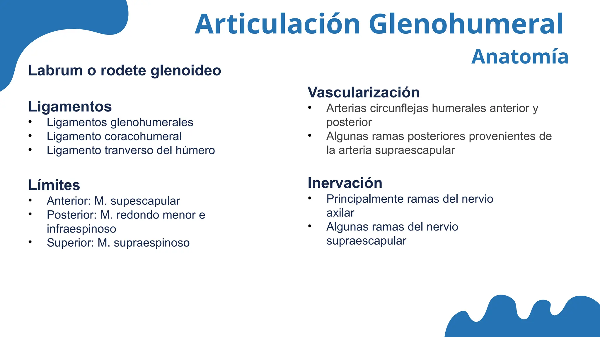 Articulación Glenohumeral
Anatomía
Labrum o rodete glenoideo
Ligamentos
• Ligamentos glenohumerales
• Ligamento coracohumeral
• Ligamento tranverso del húmero
Vascularización
• Arterias circunflejas humerales anterior y
posterior
• Algunas ramas posteriores provenientes de
la arteria supraescapular
Inervación
• Principalmente ramas del nervio
axilar
• Algunas ramas del nervio
supraescapular
Límites
• Anterior: M. supescapular
• Posterior: M. redondo menor e
infraespinoso
• Superior: M. supraespinoso
 