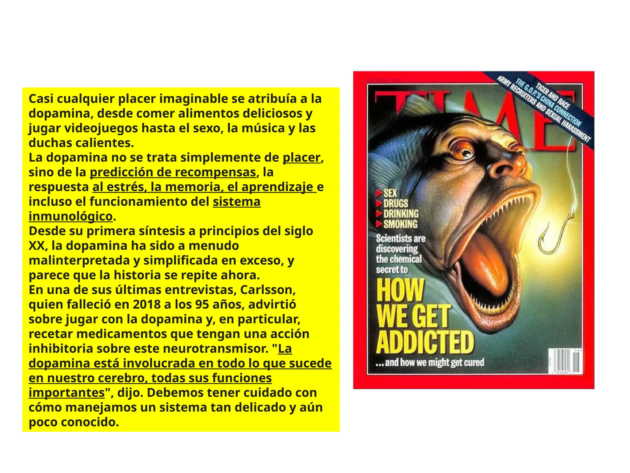 Casi cualquier placer imaginable se atribuía a la
dopamina, desde comer alimentos deliciosos y
jugar videojuegos hasta el sexo, la música y las
duchas calientes.
La dopamina no se trata simplemente de placer,
sino de la predicción de recompensas, la
respuesta al estrés, la memoria, el aprendizaje e
incluso el funcionamiento del sistema
inmunológico.
Desde su primera síntesis a principios del siglo
XX, la dopamina ha sido a menudo
malinterpretada y simplificada en exceso, y
parece que la historia se repite ahora.
En una de sus últimas entrevistas, Carlsson,
quien falleció en 2018 a los 95 años, advirtió
sobre jugar con la dopamina y, en particular,
recetar medicamentos que tengan una acción
inhibitoria sobre este neurotransmisor. "La
dopamina está involucrada en todo lo que sucede
en nuestro cerebro, todas sus funciones
importantes", dijo. Debemos tener cuidado con
cómo manejamos un sistema tan delicado y aún
poco conocido.
 