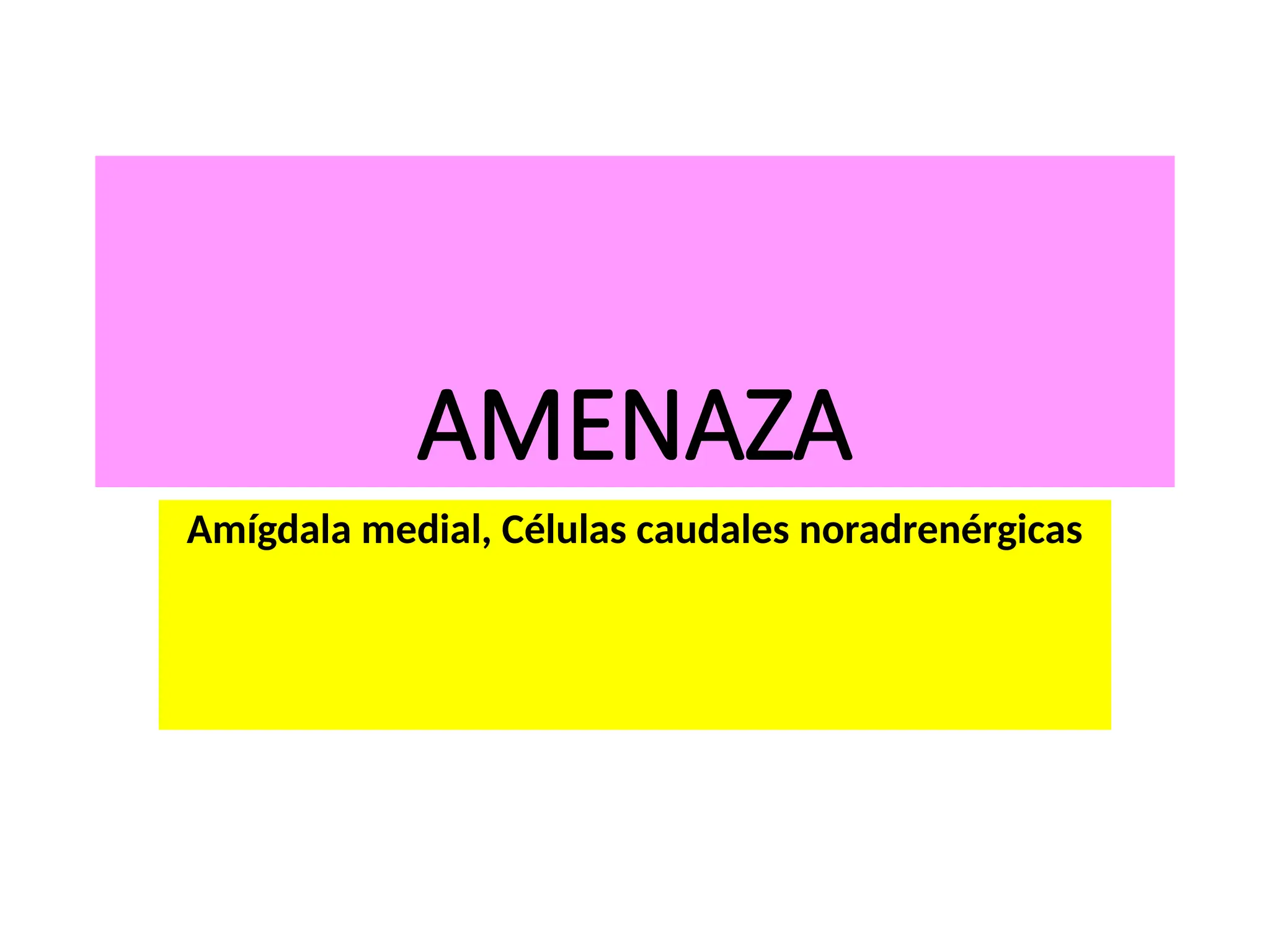 AMENAZA
Amígdala medial, Células caudales noradrenérgicas
 