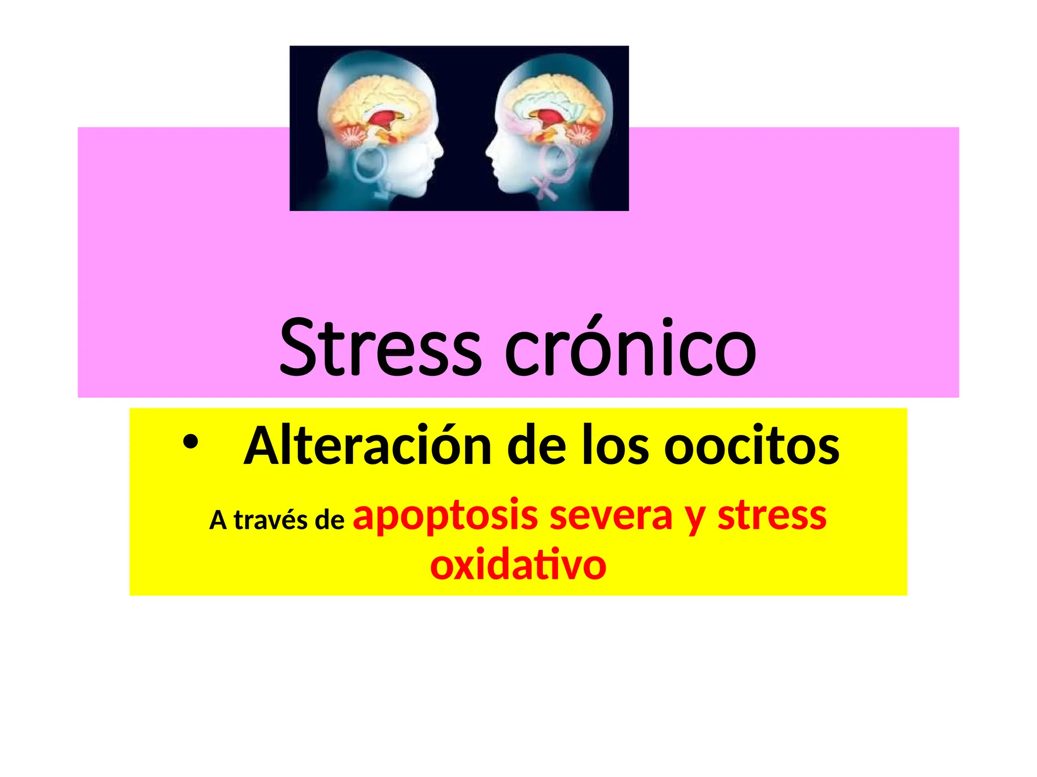 Stress crónico
• Alteración de los oocitos
A través de apoptosis severa y stress
oxidativo
 