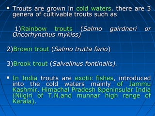 TTrroouuttss aarree ggrroowwnn iinn ccoolldd wwaatteerrss.. tthheerree aarree 33 
ggeenneerraa ooff ccuullttiivvaabbllee ttrroouuttss ssuucchh aass 
11))RRaaiinnbbooww ttrroouuttss ((SSaallmmoo ggaaiirrddnneerrii oorr 
OOnnccoorrhhyynncchhuuss mmyykkiissss)) 
22))BBrroowwnn ttrroouutt ((SSaallmmoo ttrruuttttaa ffaarriioo)) 
33))BBrrooookk ttrroouutt ((SSaallvveelliinnuuss ffoonnttiinnaalliiss)).. 
 IInn IInnddiiaa ttrroouuttss aarree eexxoottiicc ffiisshheess, iinnttrroodduucceedd 
iinnttoo tthhee ccoolldd wwaatteerrss mmaaiinnllyy ooff JJaammmmuu 
KKaasshhmmiirr, HHiimmaacchhaall PPrraaddeesshh &&ppeenniinnssuullaarr IInnddiiaa 
((NNiillggiirrii ooff TT..NN..aanndd mmuunnnnaarr hhiigghh rraannggee ooff 
KKeerraallaa)).. 
 