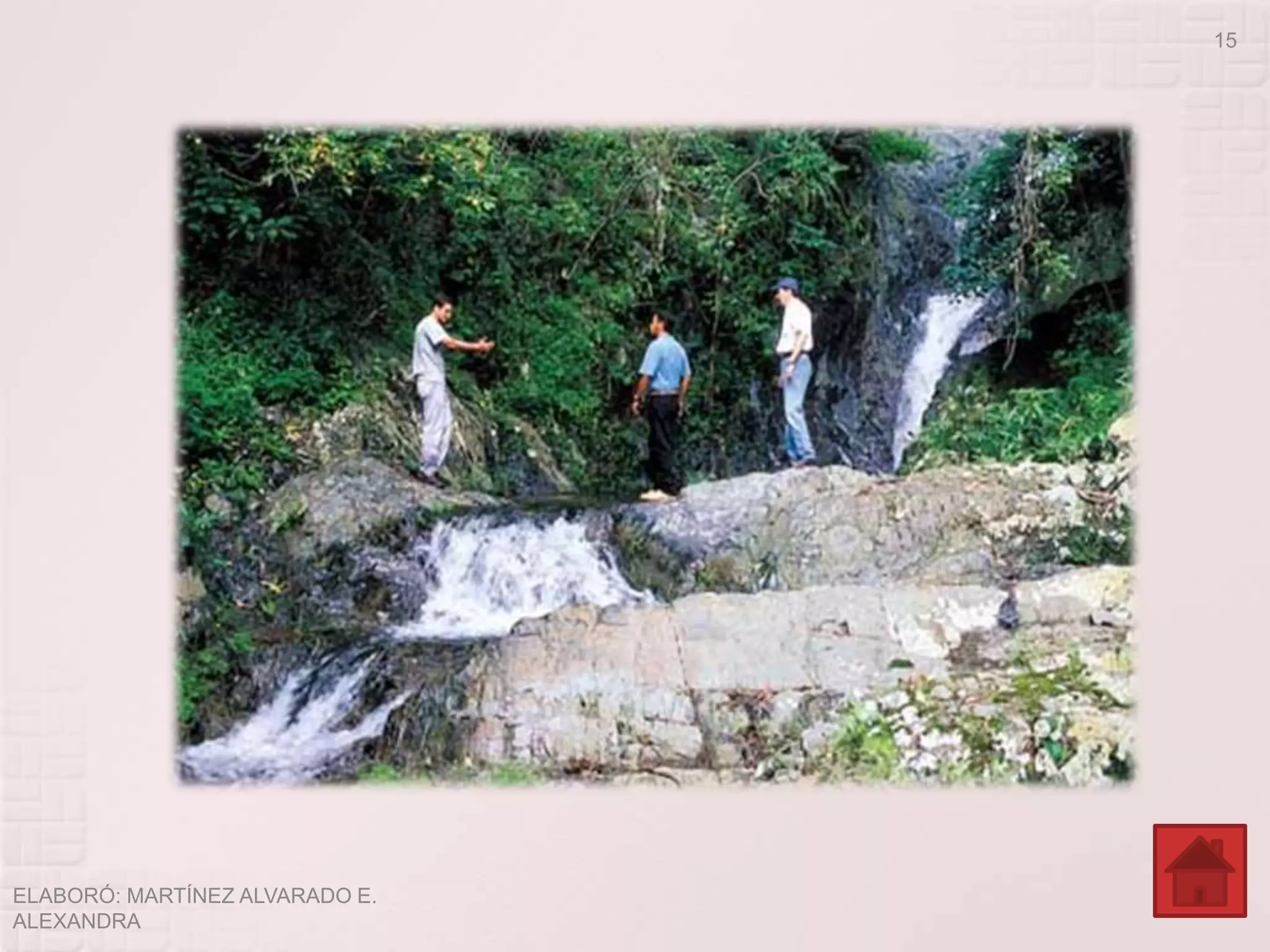 15




ELABORÓ: MARTÍNEZ ALVARADO E.
ALEXANDRA
 
