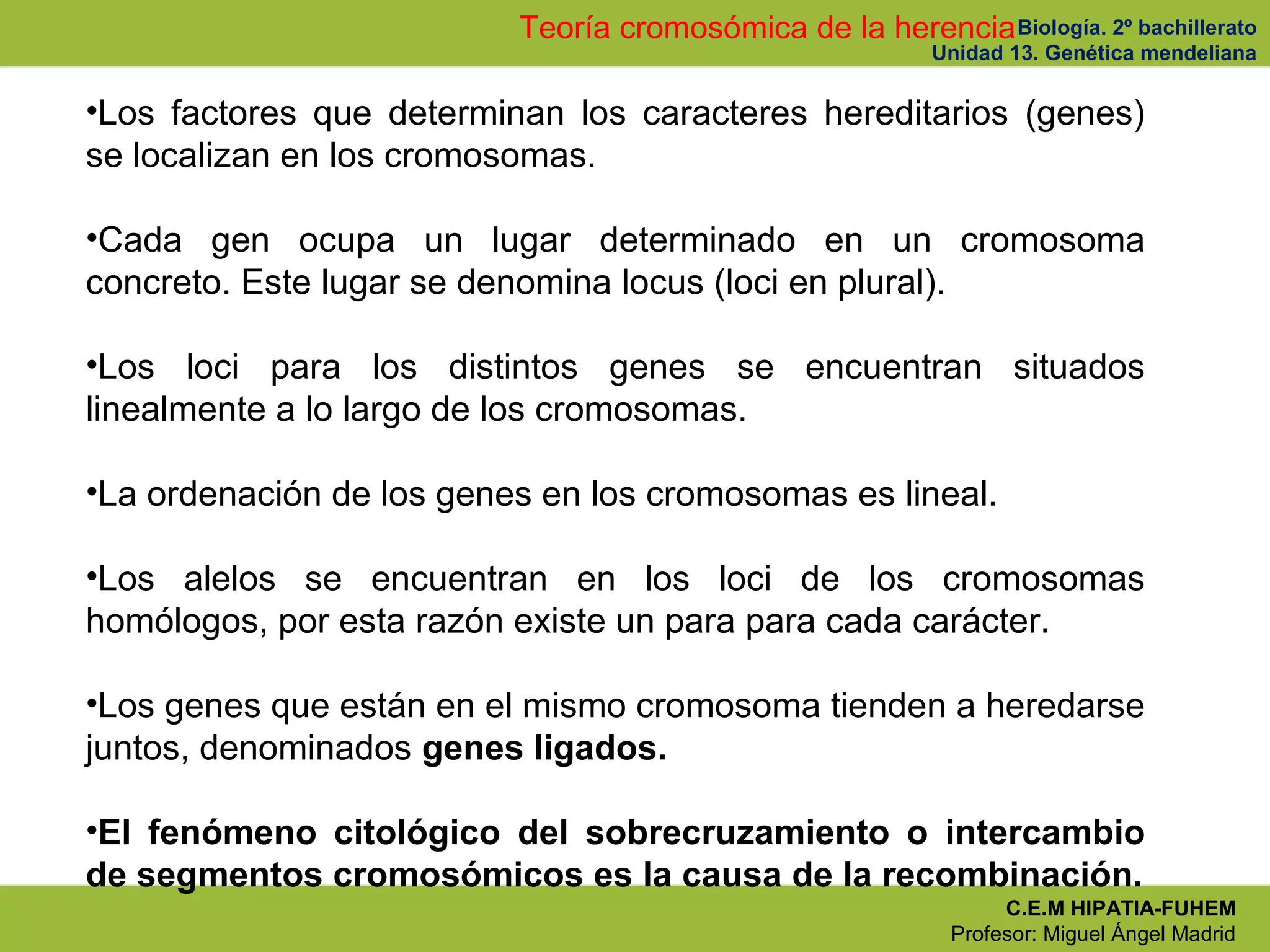 Biología. 2º bachillerato
Unidad 13. Genética mendeliana
C.E.M HIPATIA-FUHEM
Profesor: Miguel Ángel Madrid
Teoría cromosómica de la herencia
•Los factores que determinan los caracteres hereditarios (genes)
se localizan en los cromosomas.
•Cada gen ocupa un lugar determinado en un cromosoma
concreto. Este lugar se denomina locus (loci en plural).
•Los loci para los distintos genes se encuentran situados
linealmente a lo largo de los cromosomas.
•La ordenación de los genes en los cromosomas es lineal.
•Los alelos se encuentran en los loci de los cromosomas
homólogos, por esta razón existe un para para cada carácter.
•Los genes que están en el mismo cromosoma tienden a heredarse
juntos, denominados genes ligados.
•El fenómeno citológico del sobrecruzamiento o intercambio
de segmentos cromosómicos es la causa de la recombinación.
 