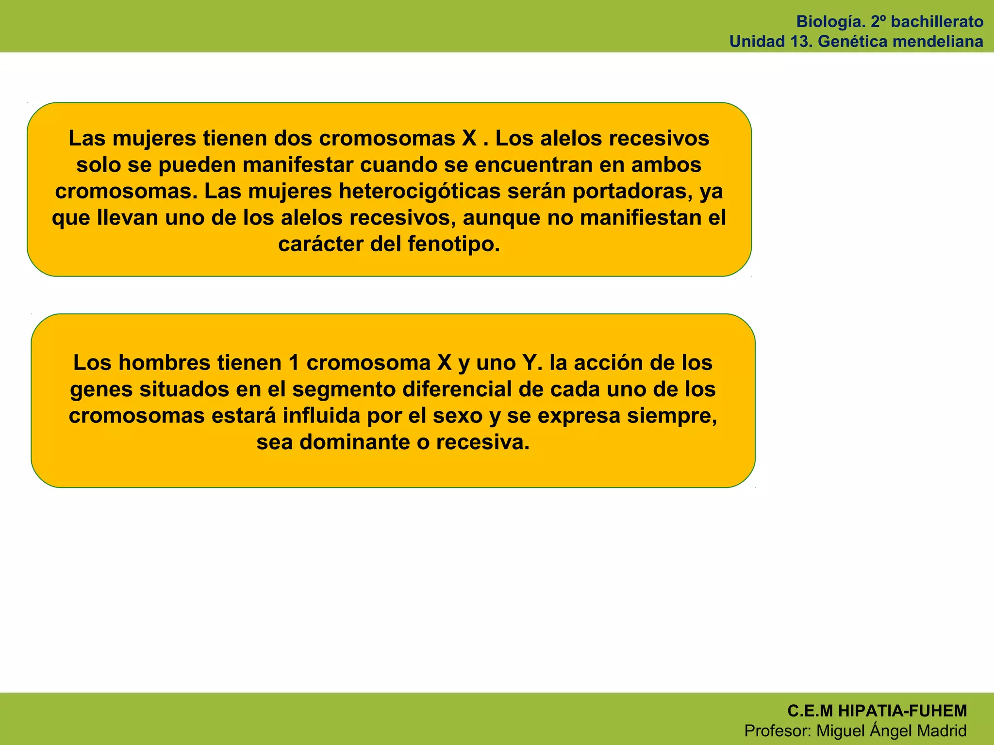 Biología. 2º bachillerato
Unidad 13. Genética mendeliana
C.E.M HIPATIA-FUHEM
Profesor: Miguel Ángel Madrid
Las mujeres tienen dos cromosomas X . Los alelos recesivos
solo se pueden manifestar cuando se encuentran en ambos
cromosomas. Las mujeres heterocigóticas serán portadoras, ya
que llevan uno de los alelos recesivos, aunque no manifiestan el
carácter del fenotipo.
Los hombres tienen 1 cromosoma X y uno Y. la acción de los
genes situados en el segmento diferencial de cada uno de los
cromosomas estará influida por el sexo y se expresa siempre,
sea dominante o recesiva.
 