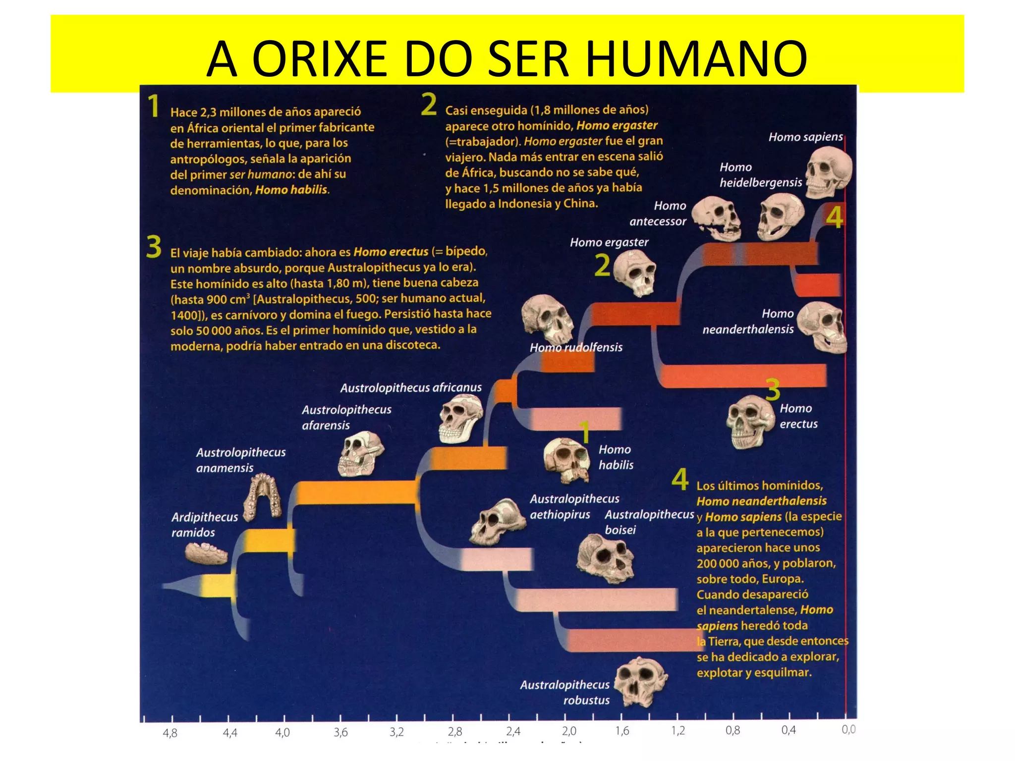 A ORIXE DO SER HUMANO
 