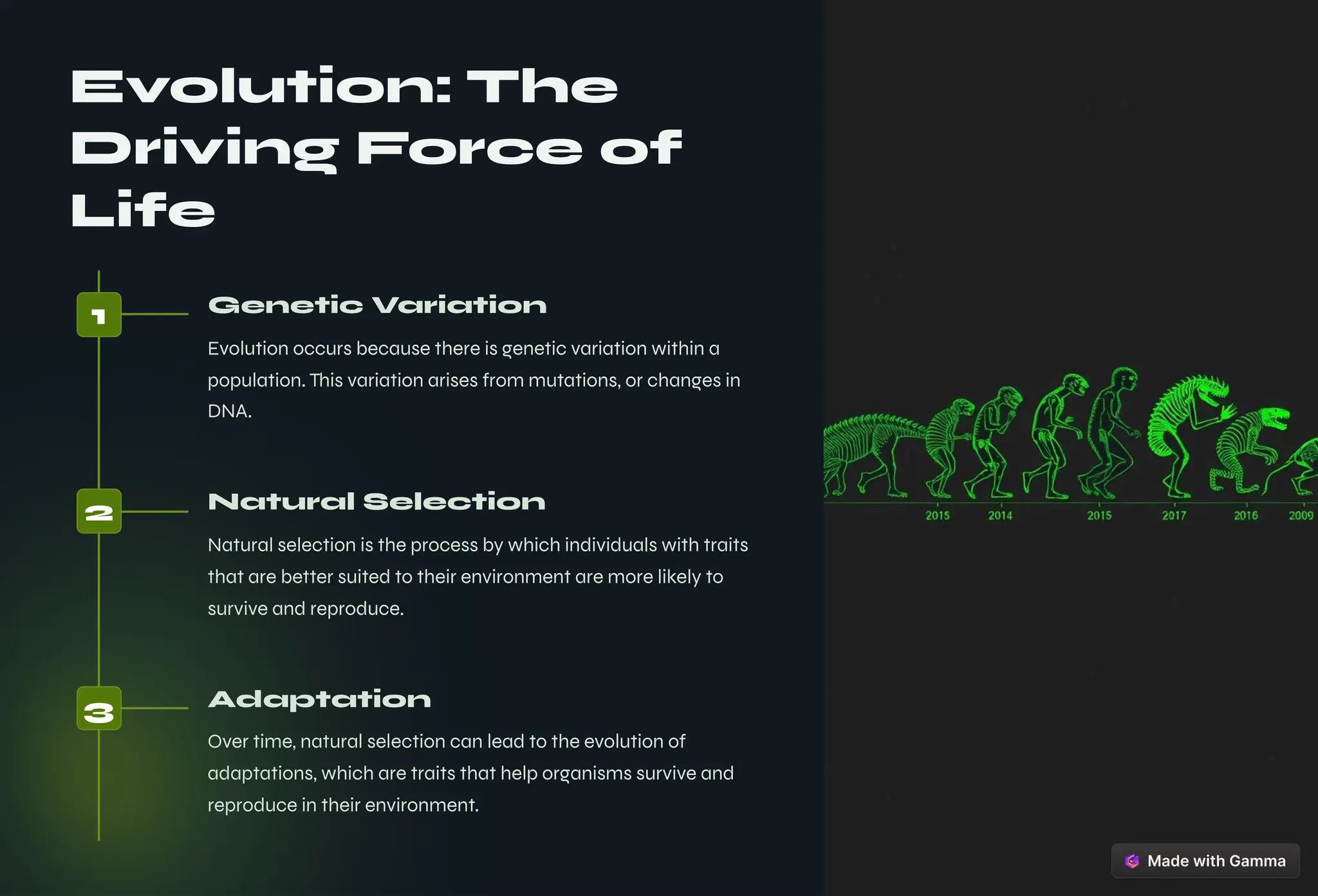 Evolution: The
Driving Force of
Life
1 Genetic Variation
Evolution occurs because there is genetic variation within a
population. This variation arises from mutations, or changes in
DNA.
2 Natural Selection
Natural selection is the process by which individuals with traits
that are better suited to their environment are more likely to
survive and reproduce.
3 Adaptation
Over time, natural selection can lead to the evolution of
adaptations, which are traits that help organisms survive and
reproduce in their environment.
 