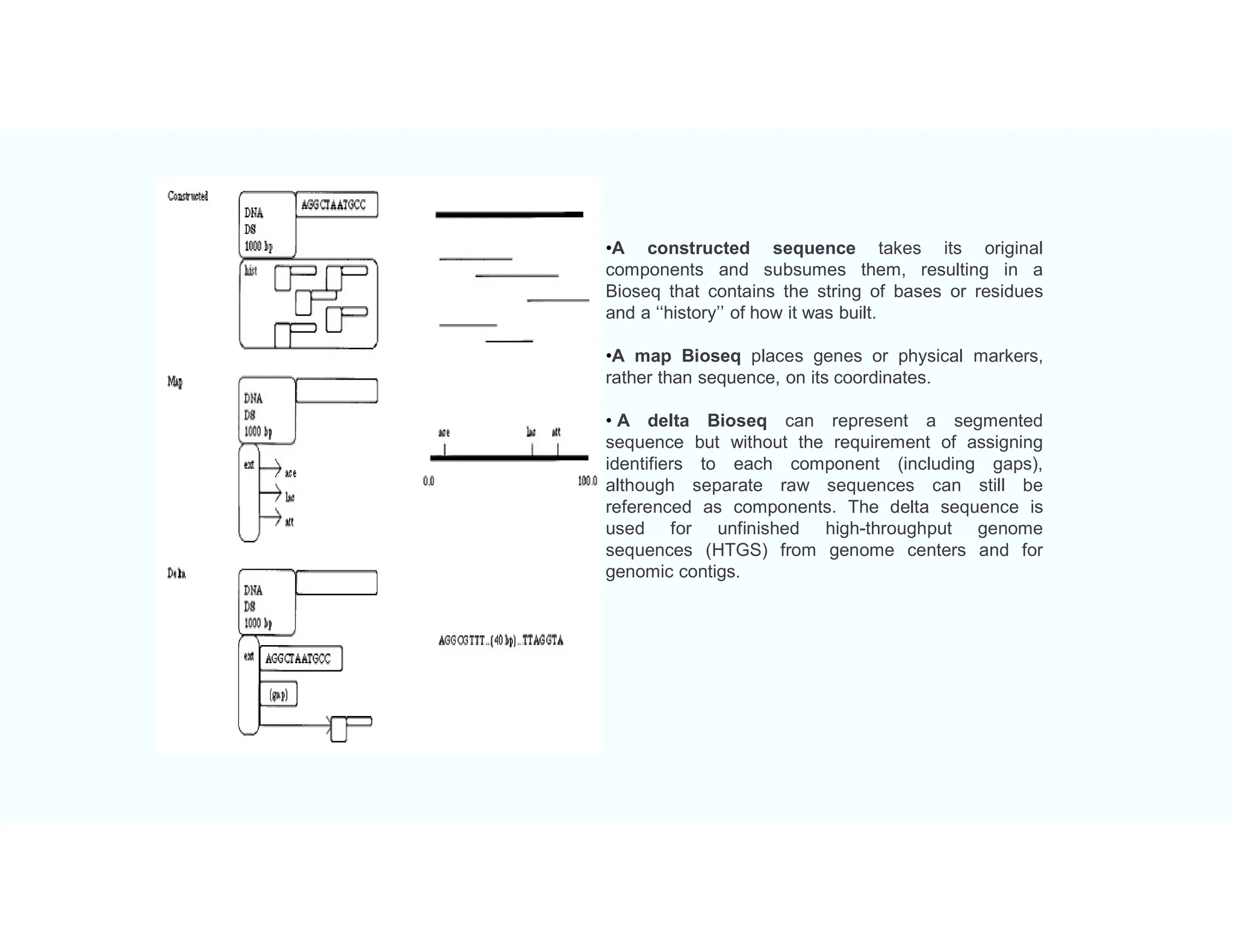 •A constructed sequence takes its original
components and subsumes them, resulting in a
Bioseq that contains the string of bases or residues
and a ‘‘history’’ of how it was built.
•A map Bioseq places genes or physical markers,
rather than sequence, on its coordinates.
• A delta Bioseq can represent a segmented
sequence but without the requirement of assigning
identifiers to each component (including gaps),
although separate raw sequences can still be
referenced as components. The delta sequence is
used for unfinished high-throughput genome
sequences (HTGS) from genome centers and for
genomic contigs.
 