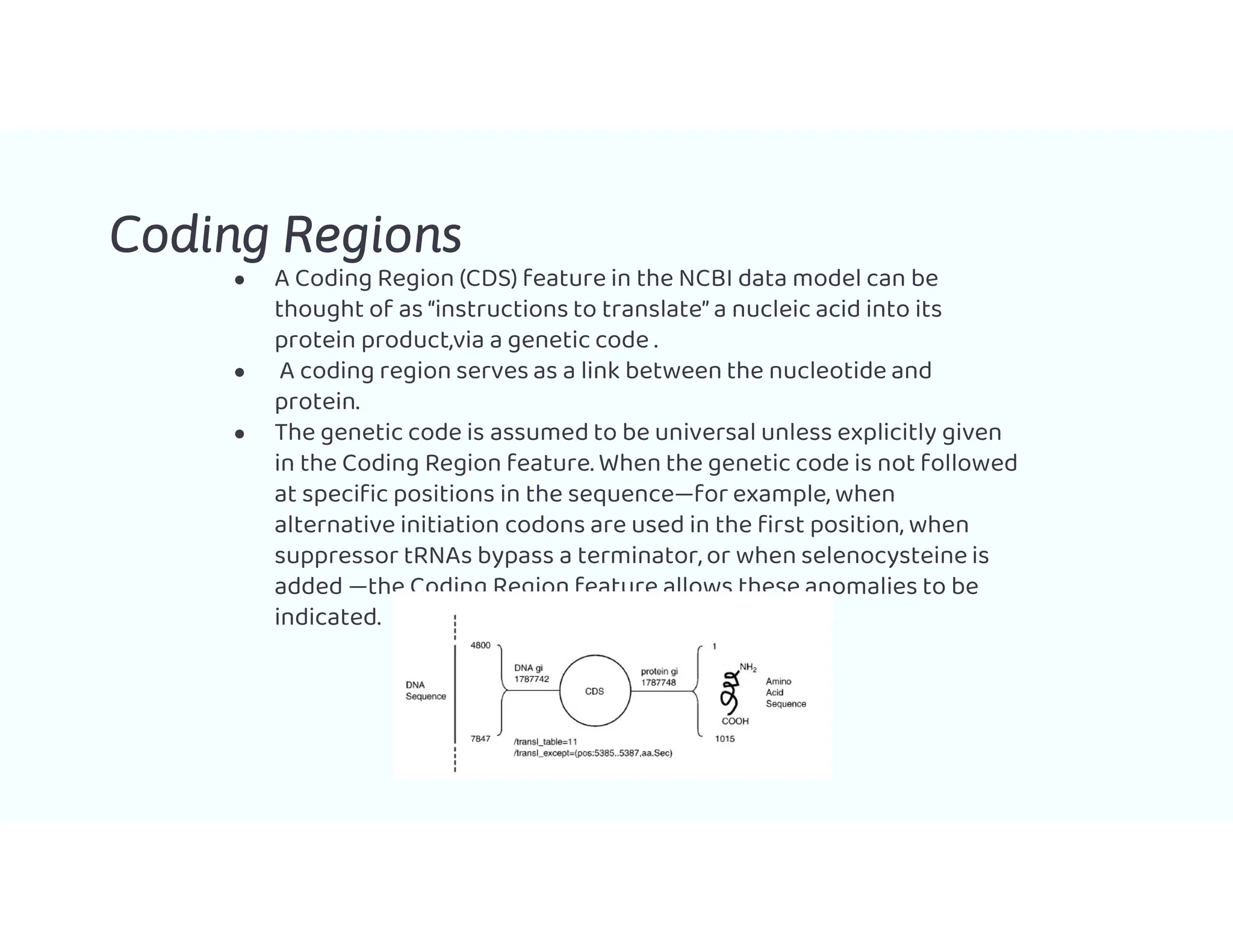 Coding Regions
● A Coding Region (CDS) feature in the NCBI data model can be
thought of as ‘‘instructions to translate’’ a nucleic acid into its
protein product,via a genetic code .
● A coding region serves as a link between the nucleotide and
protein.
● The genetic code is assumed to be universal unless explicitly given
in the Coding Region feature. When the genetic code is not followed
at specific positions in the sequence—for example, when
alternative initiation codons are used in the first position, when
suppressor tRNAs bypass a terminator, or when selenocysteine is
added —the Coding Region feature allows these anomalies to be
indicated.
 