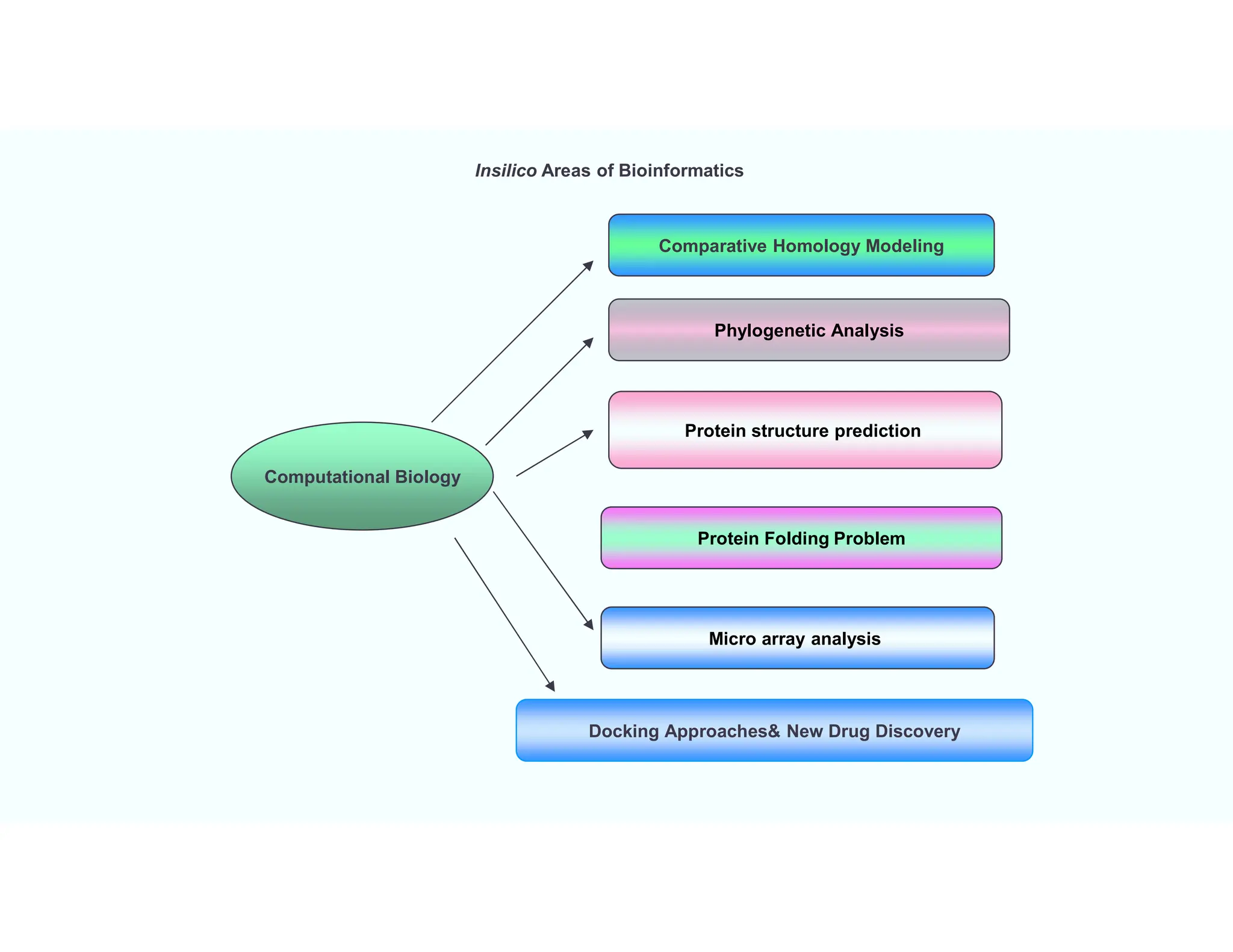 Insilico Areas of Bioinformatics
Computational Biology
Docking Approaches& New Drug Discovery
Protein structure prediction
Micro array analysis
Comparative Homology Modeling
Phylogenetic Analysis
Protein Folding Problem
 