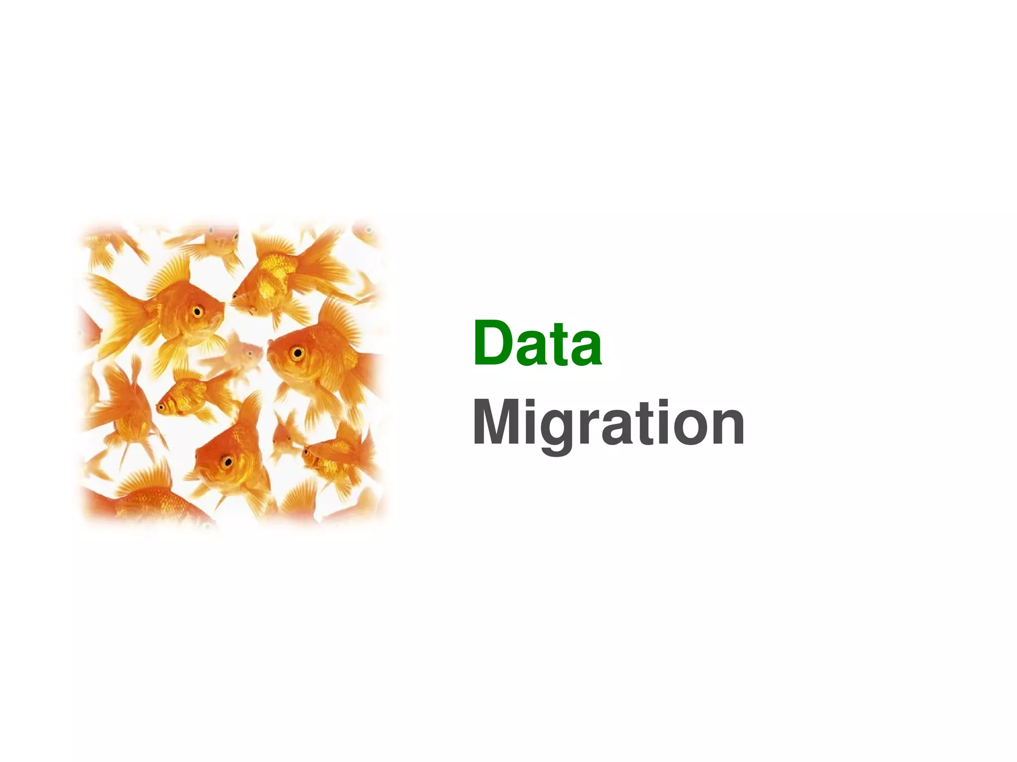 Data
    Migration



      
 