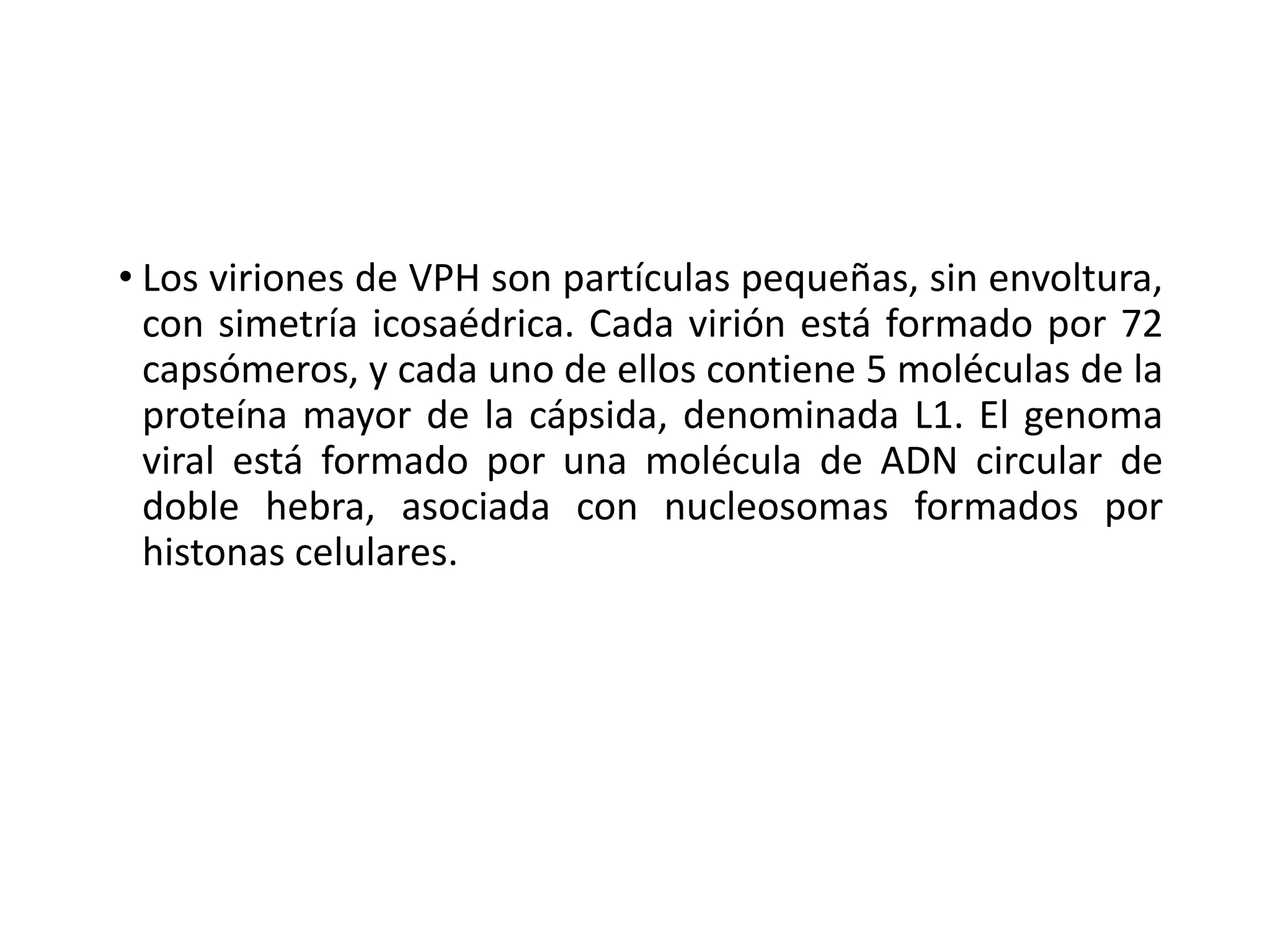 • Los viriones de VPH son partículas pequeñas, sin envoltura,
con simetría icosaédrica. Cada virión está formado por 72
capsómeros, y cada uno de ellos contiene 5 moléculas de la
proteína mayor de la cápsida, denominada L1. El genoma
viral está formado por una molécula de ADN circular de
doble hebra, asociada con nucleosomas formados por
histonas celulares.
 