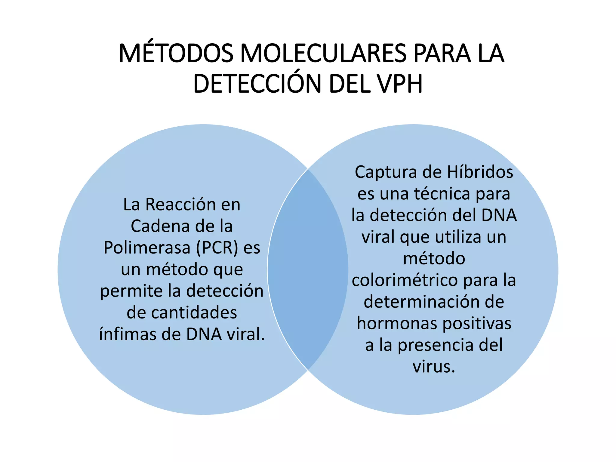 MÉTODOS MOLECULARES PARA LA
DETECCIÓN DEL VPH
La Reacción en
Cadena de la
Polimerasa (PCR) es
un método que
permite la detección
de cantidades
ínfimas de DNA viral.
Captura de Híbridos
es una técnica para
la detección del DNA
viral que utiliza un
método
colorimétrico para la
determinación de
hormonas positivas
a la presencia del
virus.
 