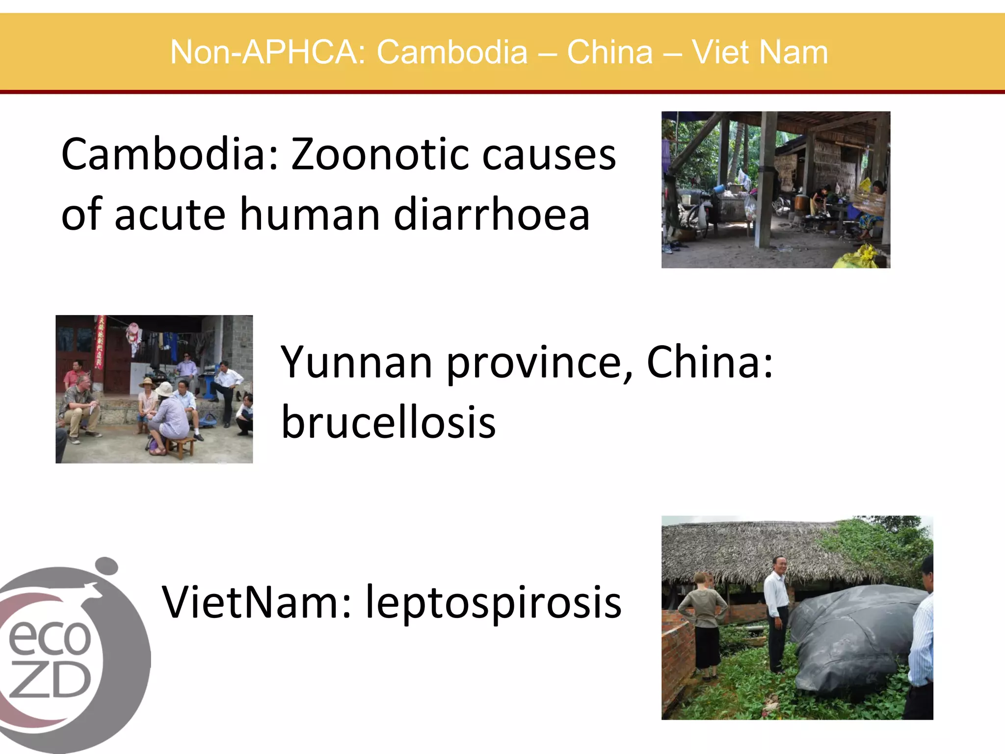 Non-APHCA: Cambodia – China – Viet Nam

Cambodia: Zoonotic causes
of acute human diarrhoea
Yunnan province, China:
brucellosis

VietNam: leptospirosis

 