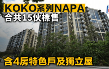KOKO系列NAPA合共15伙標售 含4房特色戶及獨立屋