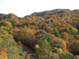 八方台の紅葉