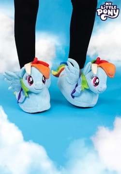 Adult Rainbow Dash Slippers