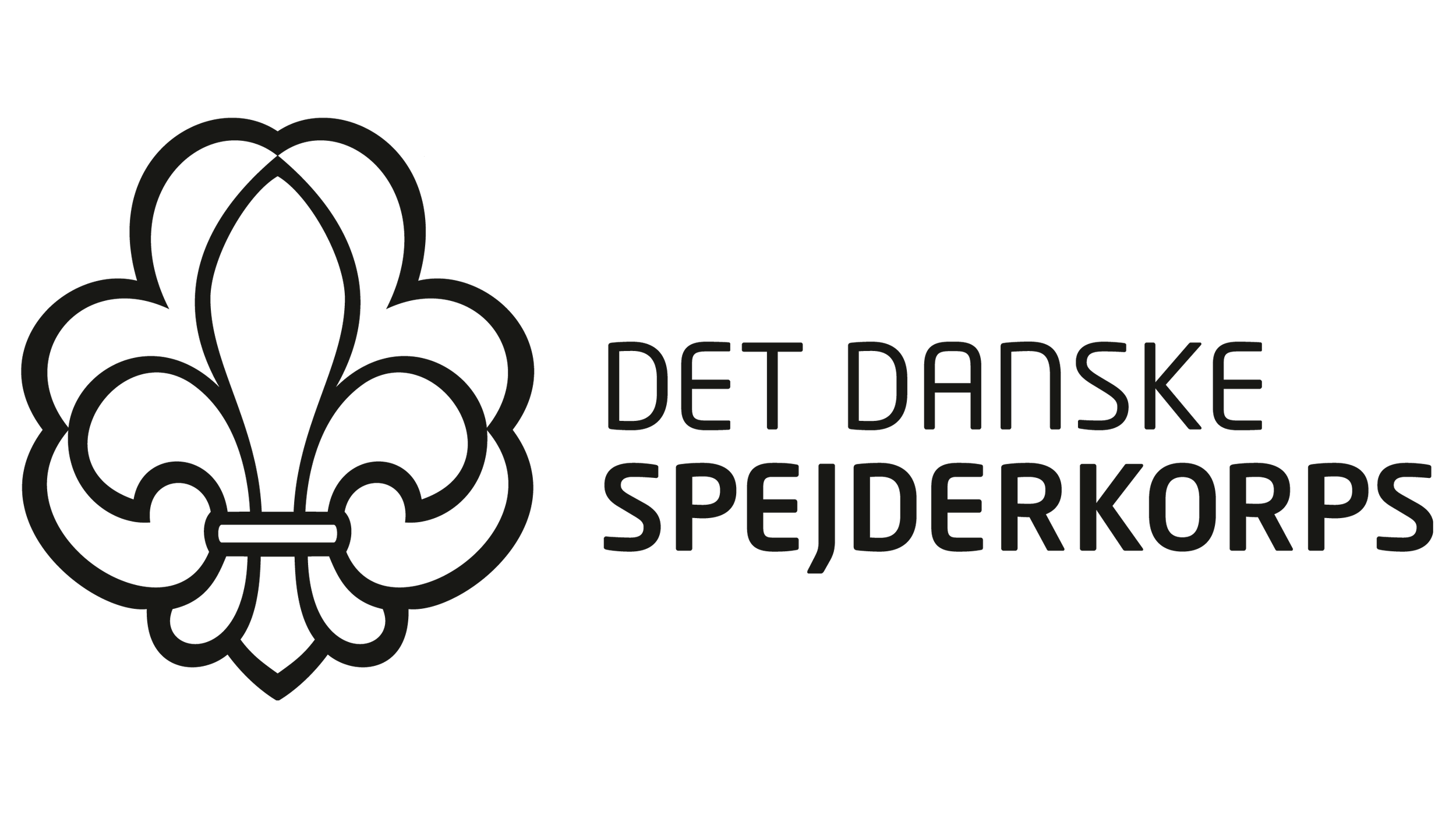 DDS logo.png