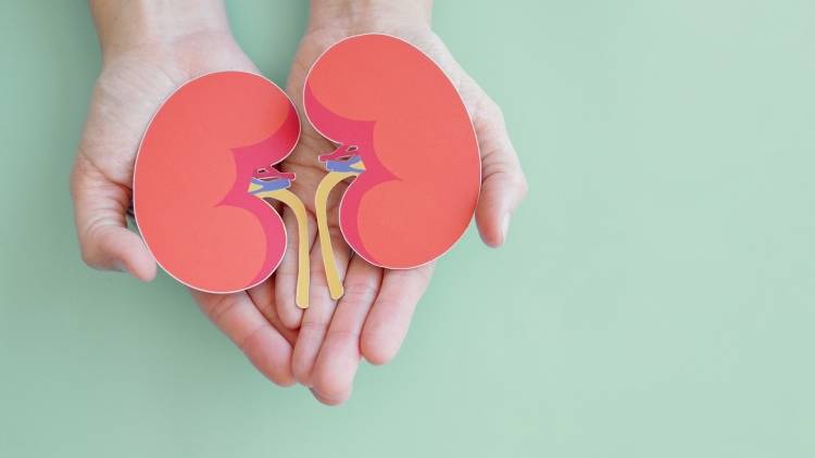 サプリ疲れしていませんか?「未病」の改善には「腎」がポイント。”腎活”食養生を始めよう