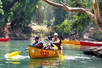 רוב רוי