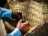 Maharashtra cabinet approves bamboo industry policy to generate over 5 lakh jobs