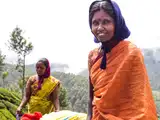 Bengaluru firm says no to middlemen