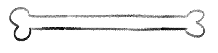 A divider shaped like a bone