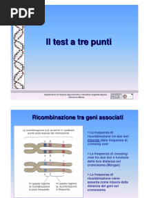 13-Il-Test-A-Tre-Punti Genetica Agraria Uniss
