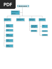 Organigrama Kaufland